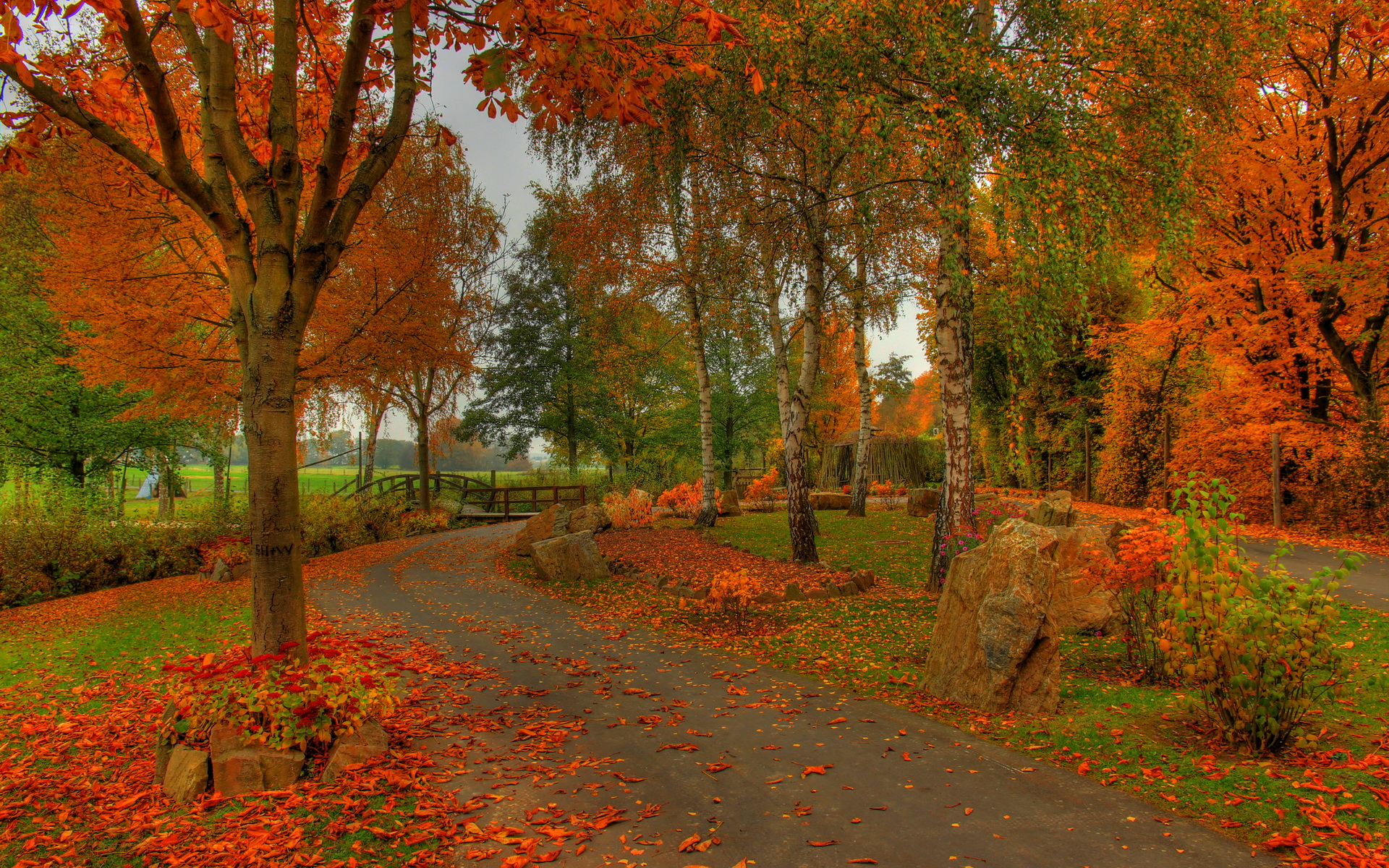 hdr autumn colors