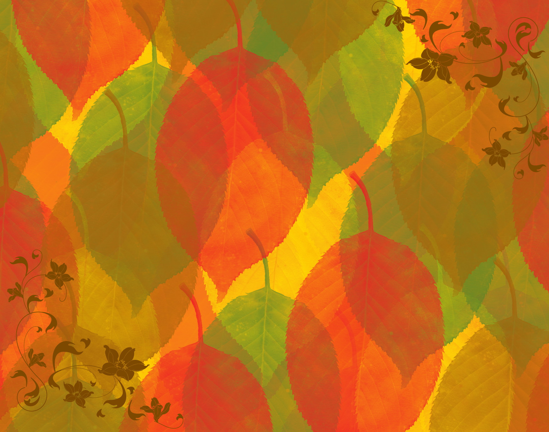Fall Color Wallpaper