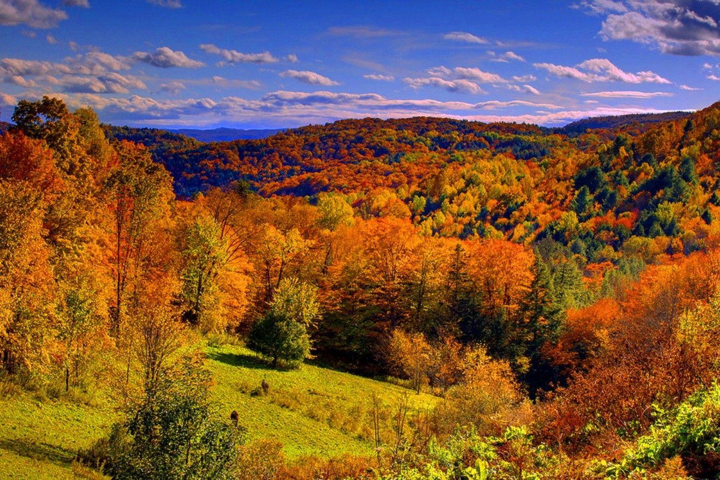 Vermont Fall Foliage Wallpaper Free Vermont Fall