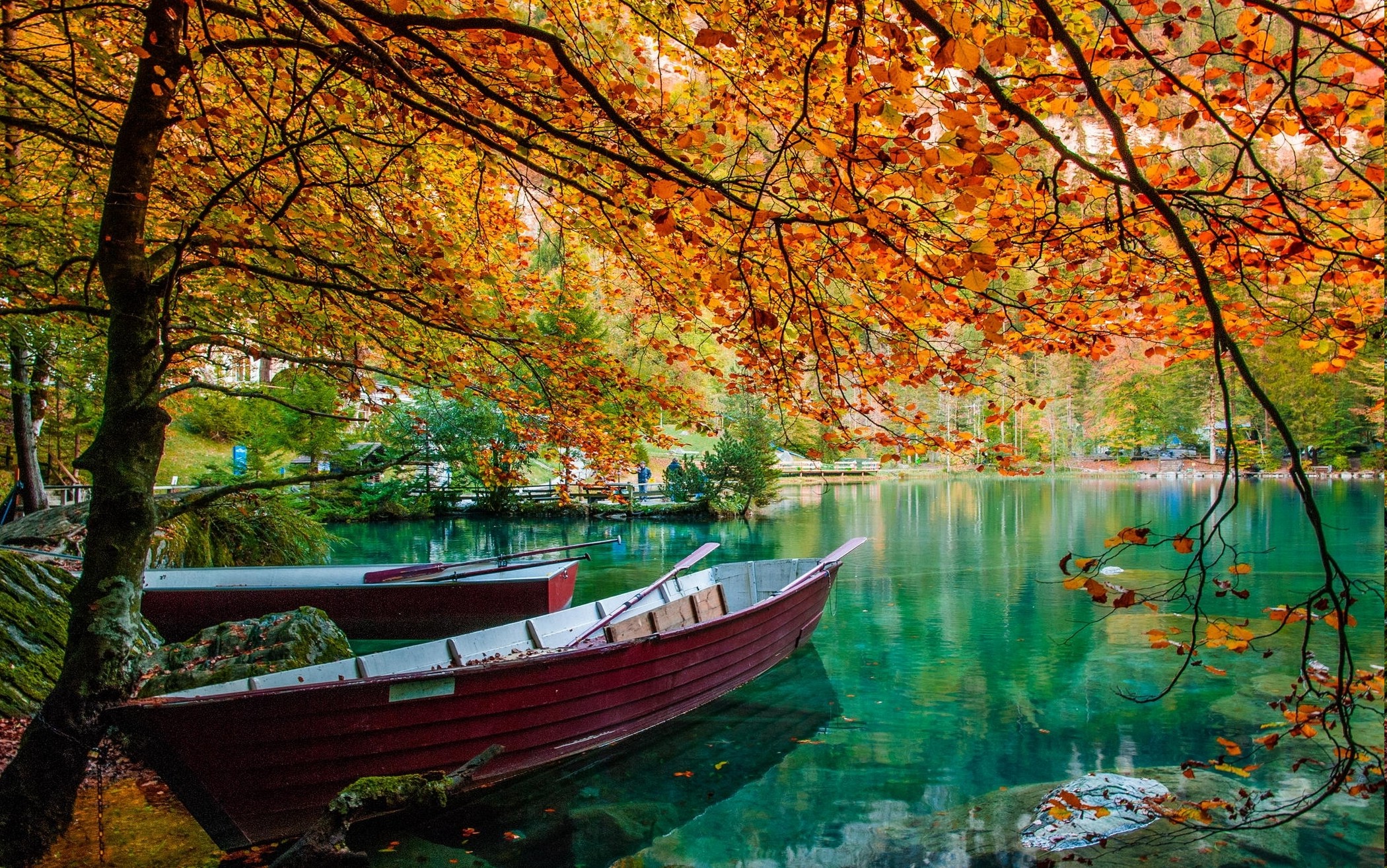 nature, Landscape, Lake, Trees, Boat, Leaves, Fall, Green