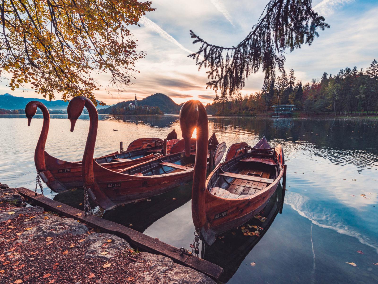 Lake Bled Slovenia Swan Boats Morning Sun Autumn Landscape