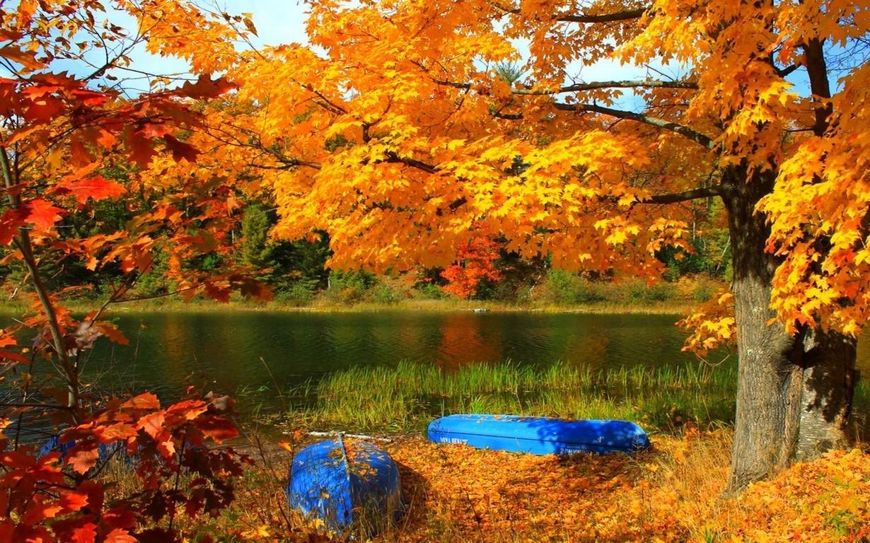 lake boat trees fall grass yellow red leaves nature