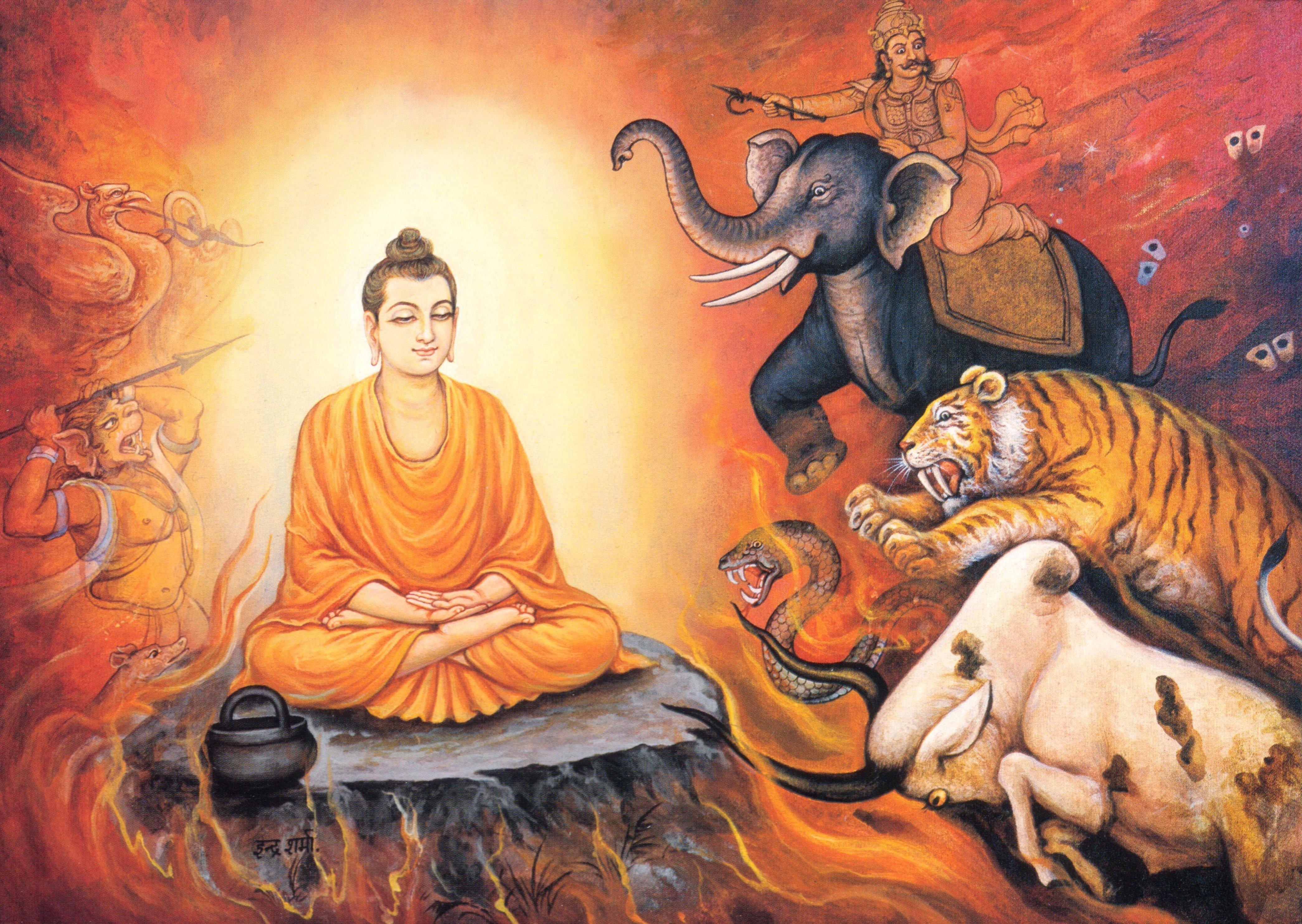 Buddha, Enlightenment HD Wallpaper / Desktop and Mobile