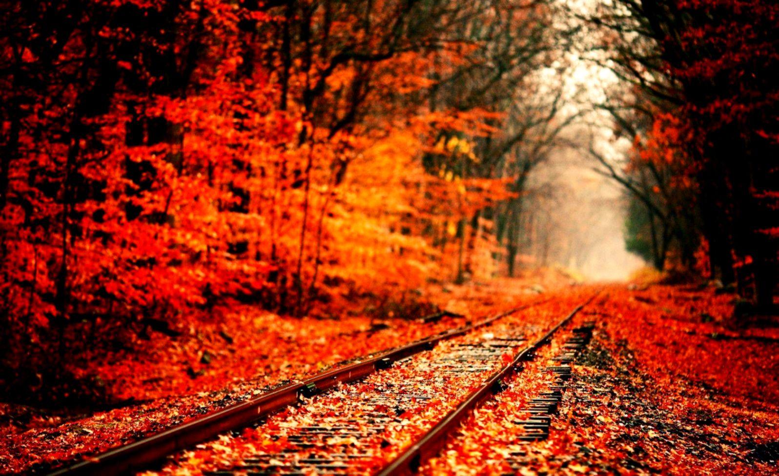 Fall Desktop Wallpaper