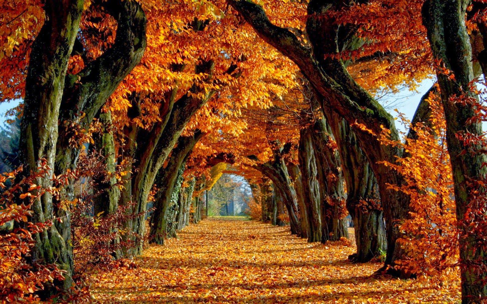 nature