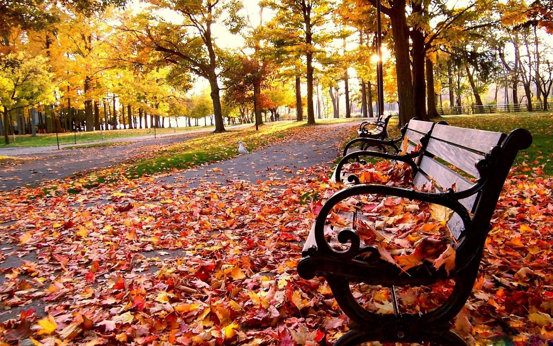 Desktop Fall Wallpaper