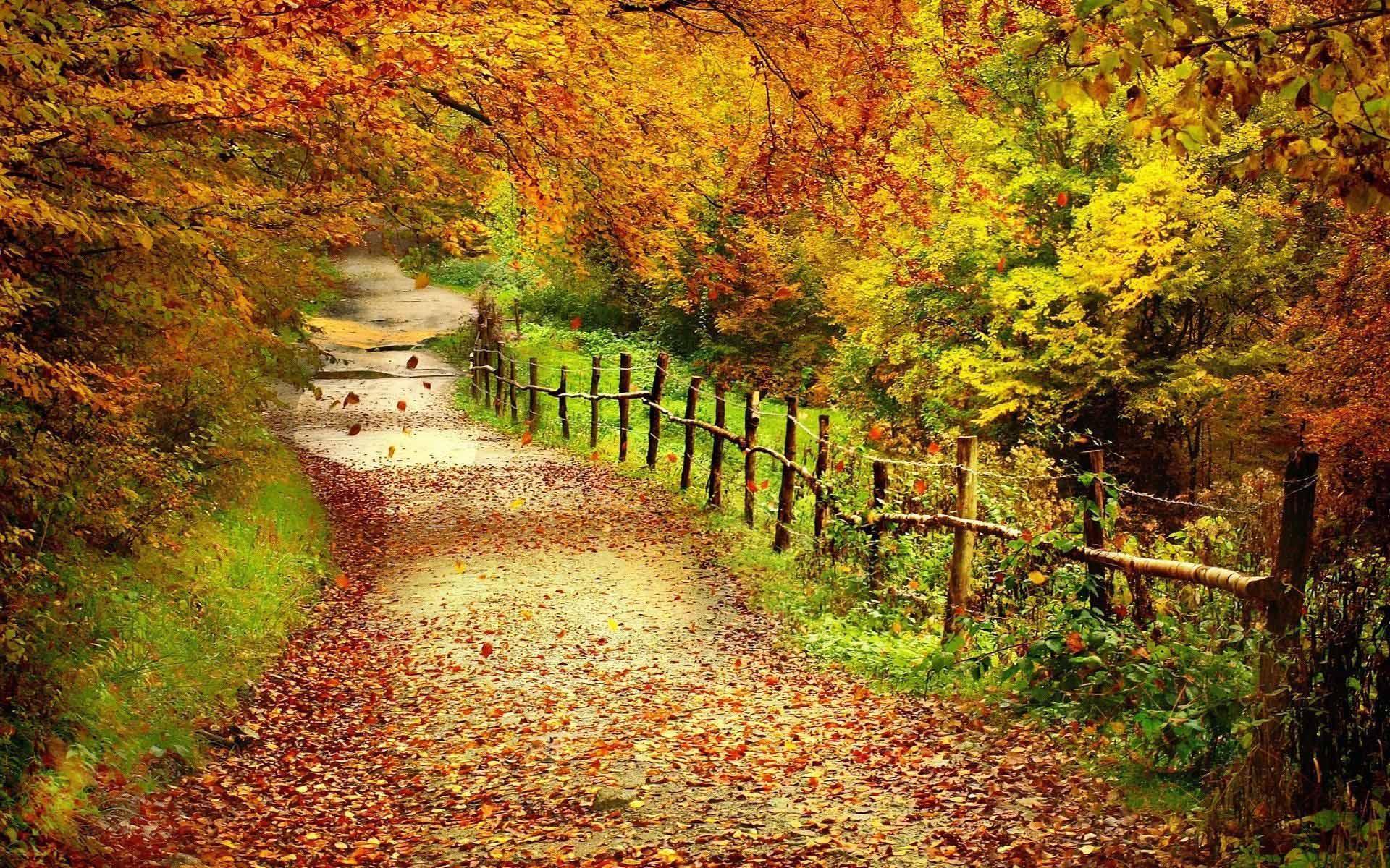 Free Fall Desktop Wallpaper , Find HD Wallpaper For Free