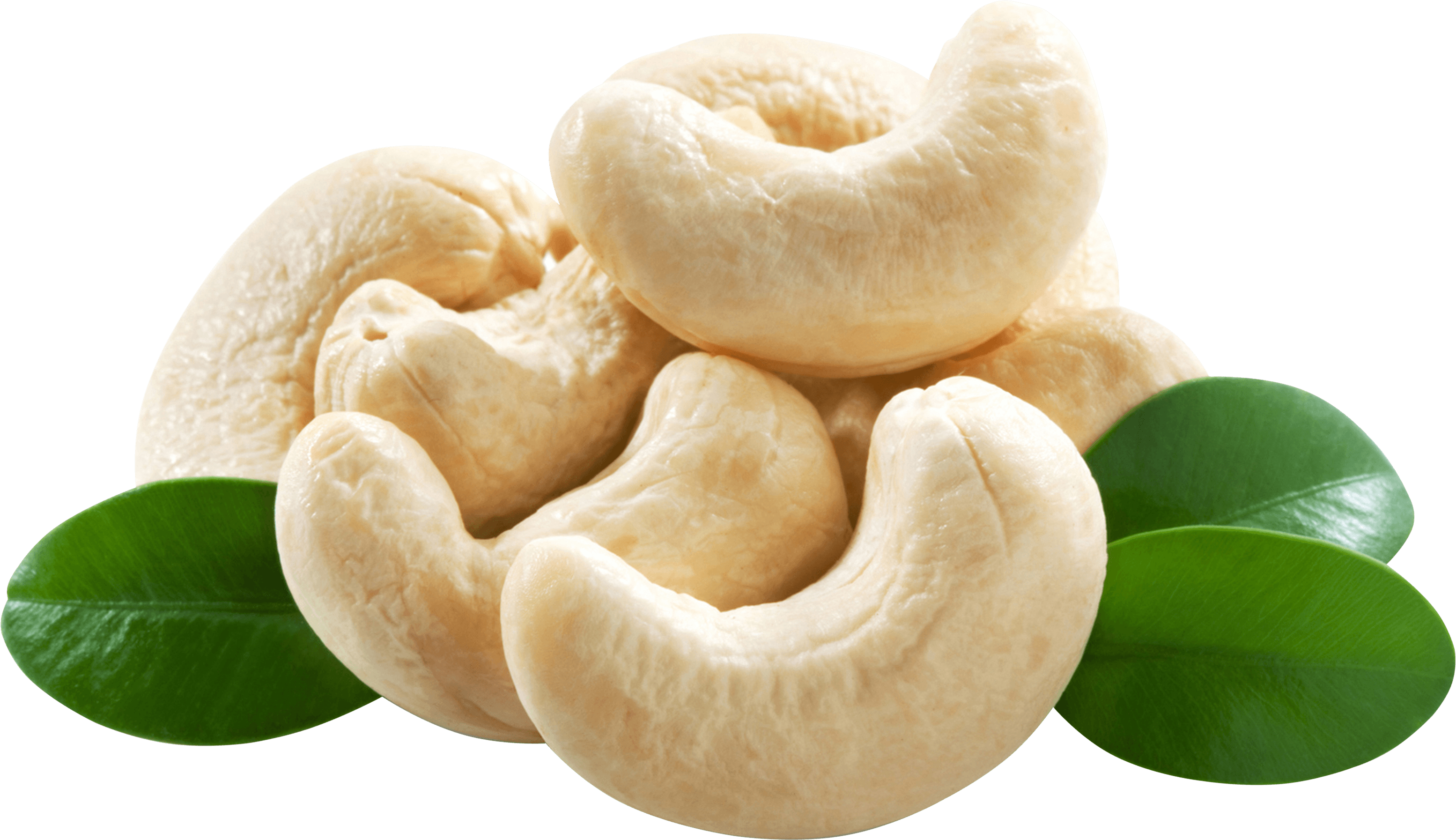 Cashew Nut Wallpapers - Wallpaper Cave