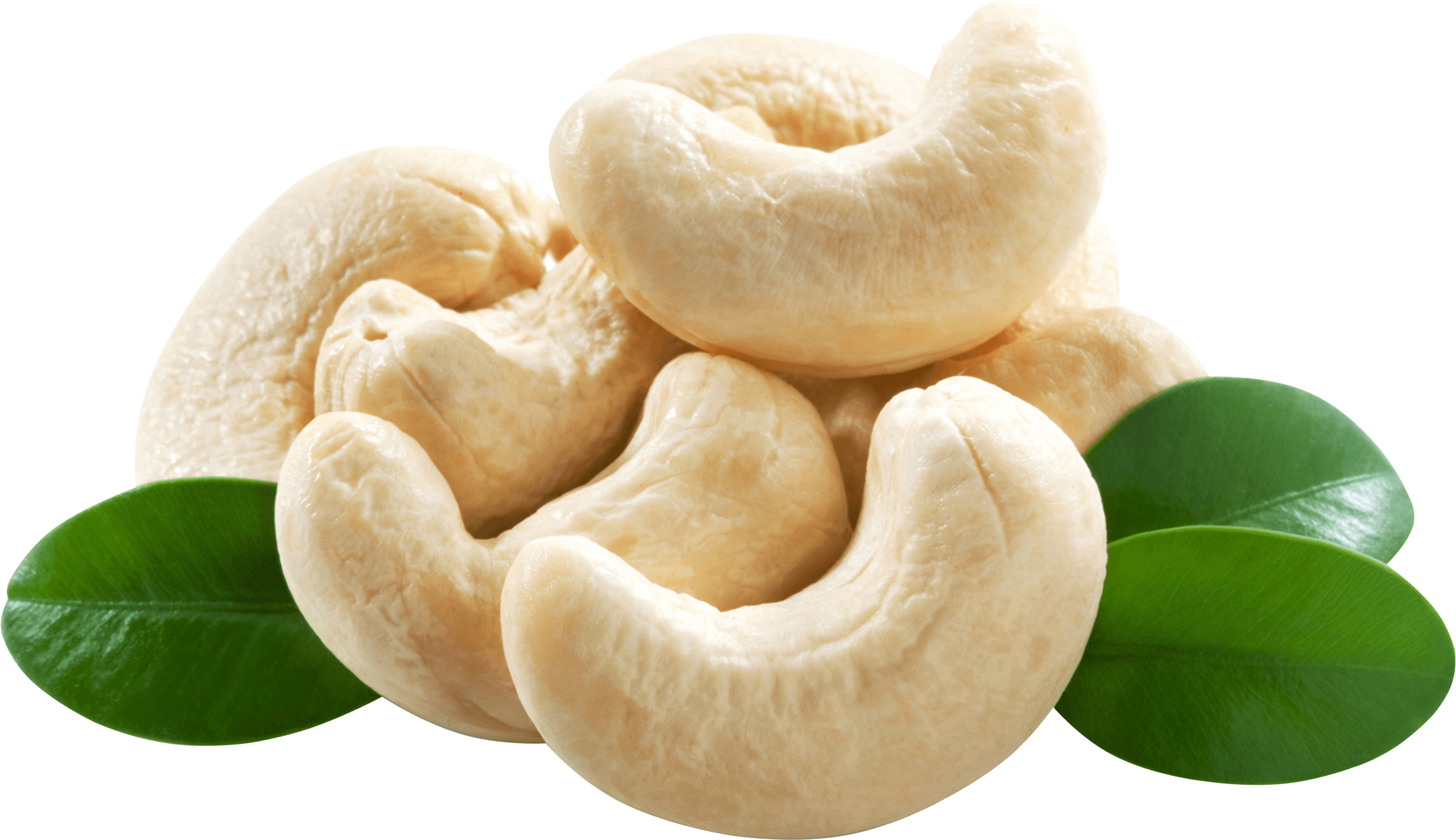 Cashew Nut Wallpapers Wallpaper Cave