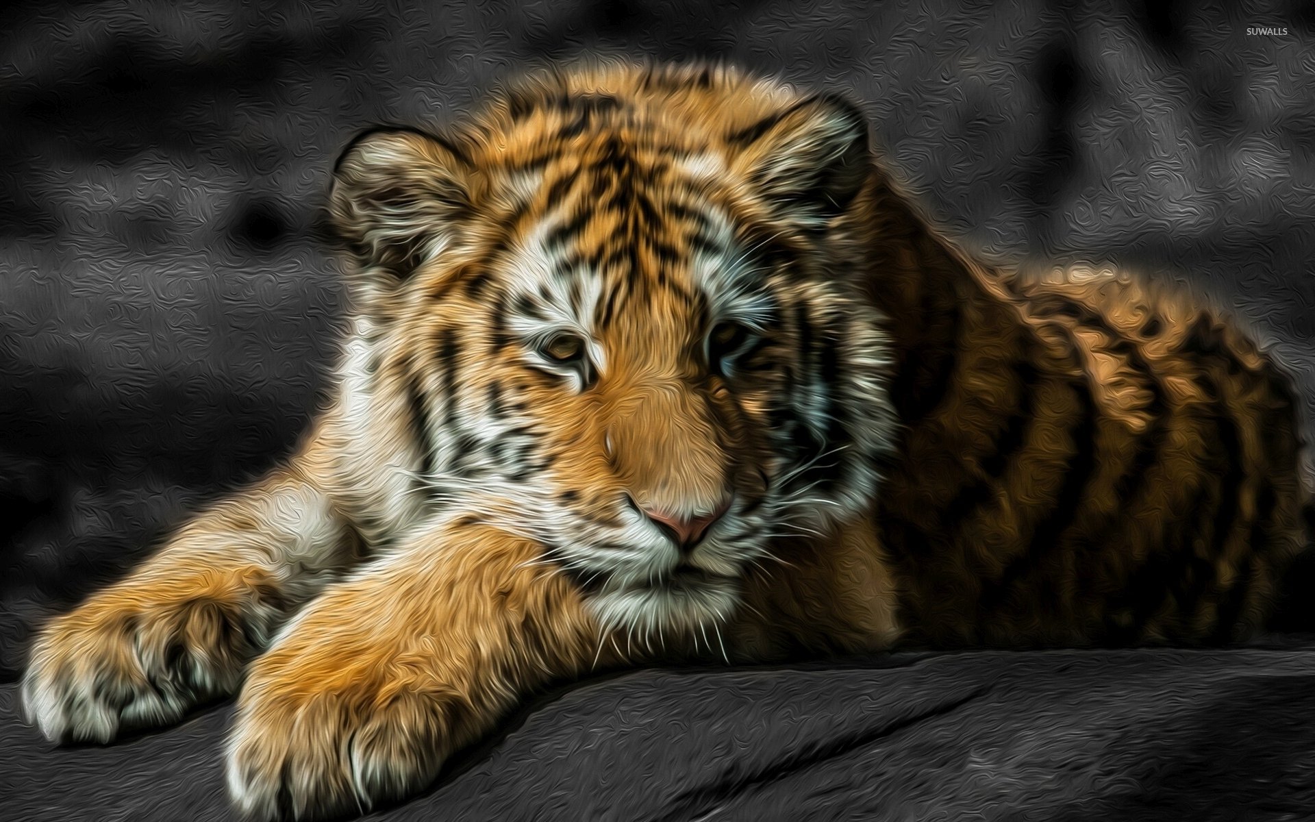 Tiger cub resting on a rock wallpapers