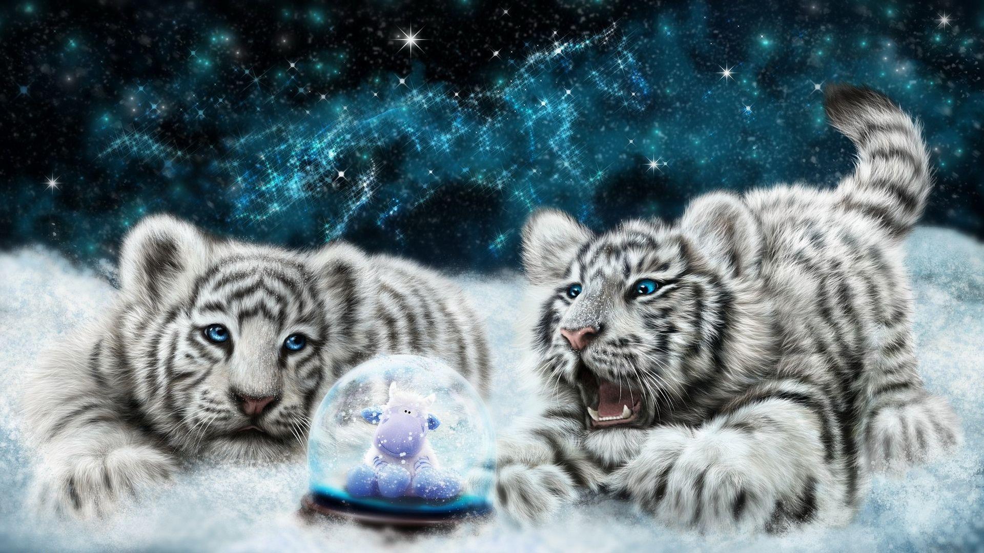 White tiger cubs looking at the snowglobe HD desktop