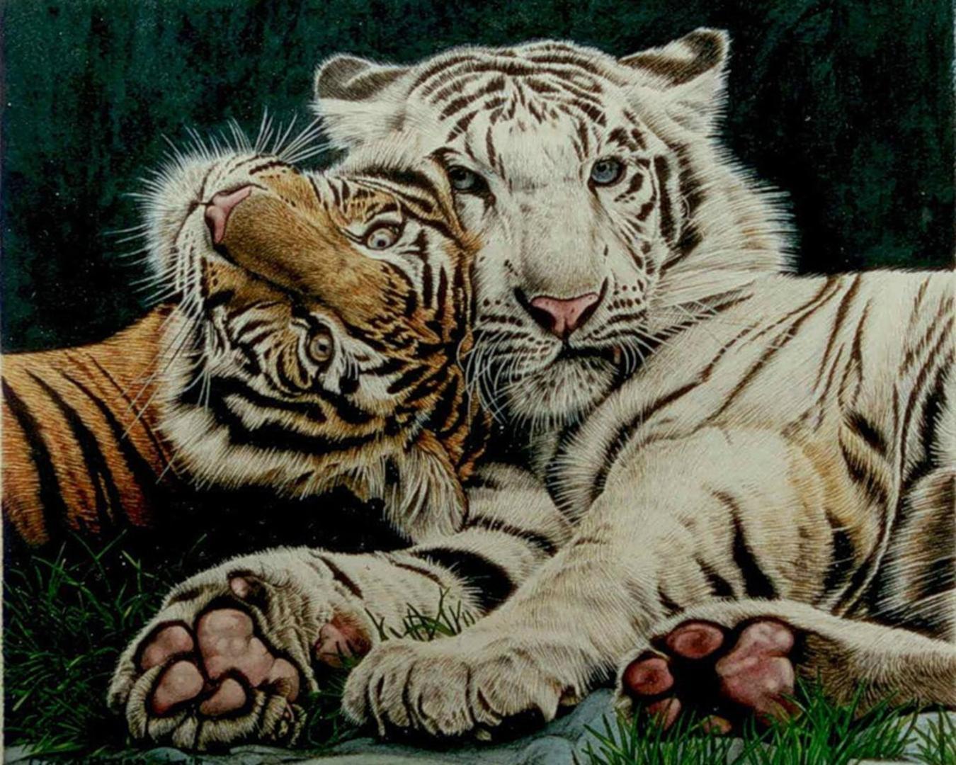 Tiger Cub Wallpapers