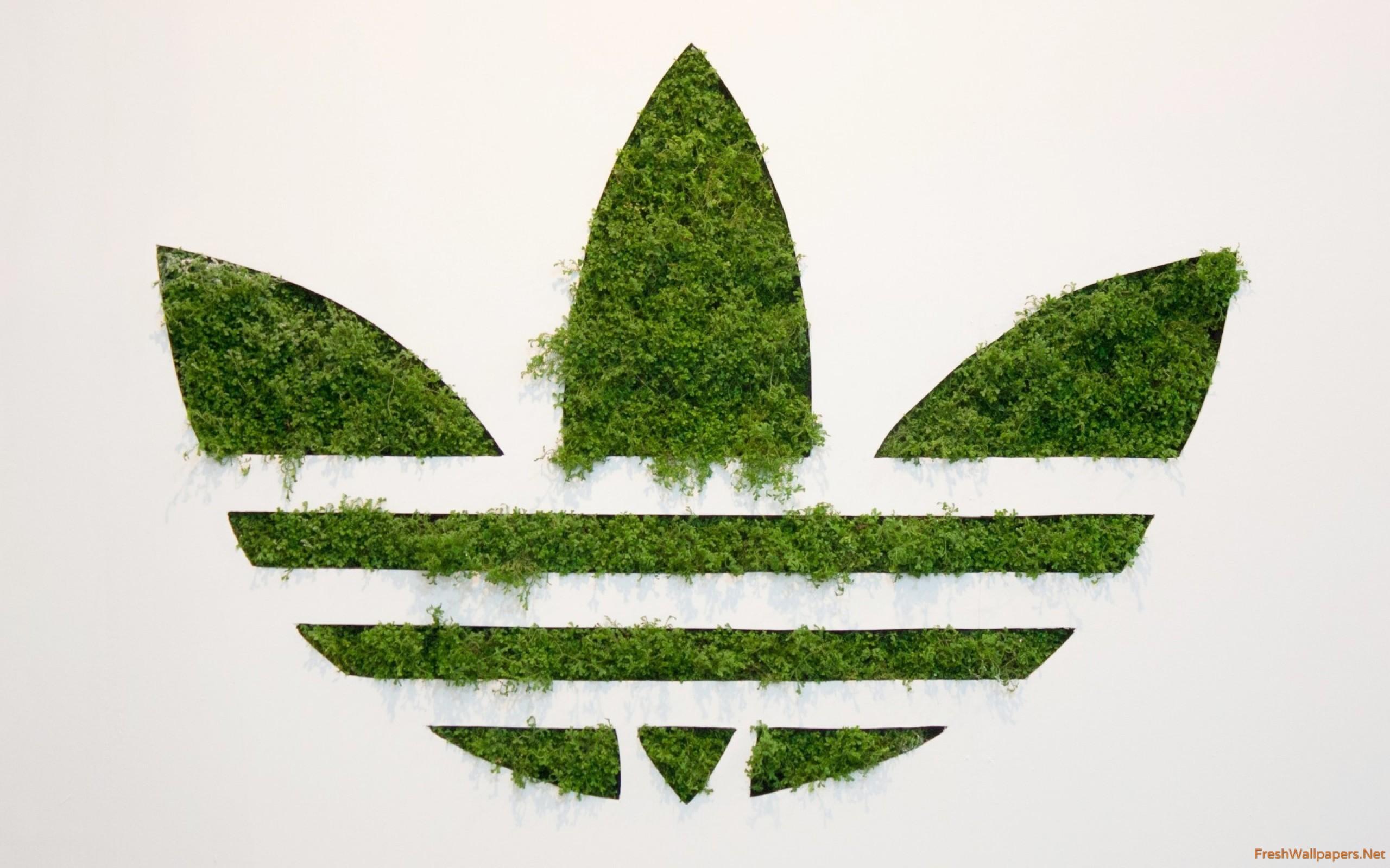 Adidas Green Logo wallpaper