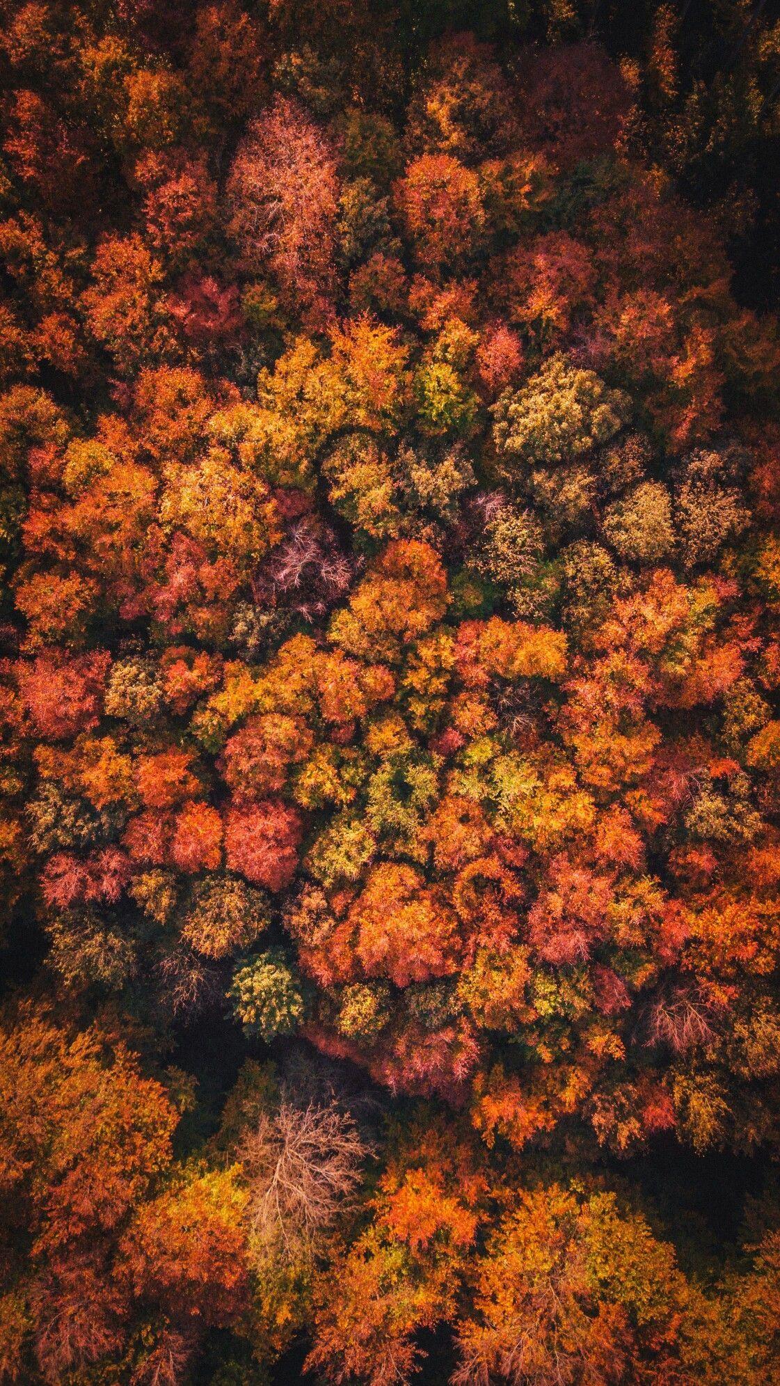 Autumn Aerial Wallpapers - Wallpaper Cave