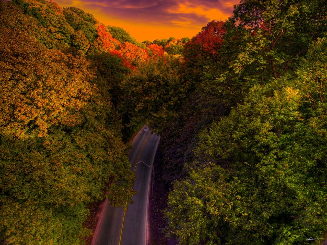 Autumn Trees Road Aerial View wallpaper. Autumn Trees Road Aerial View
