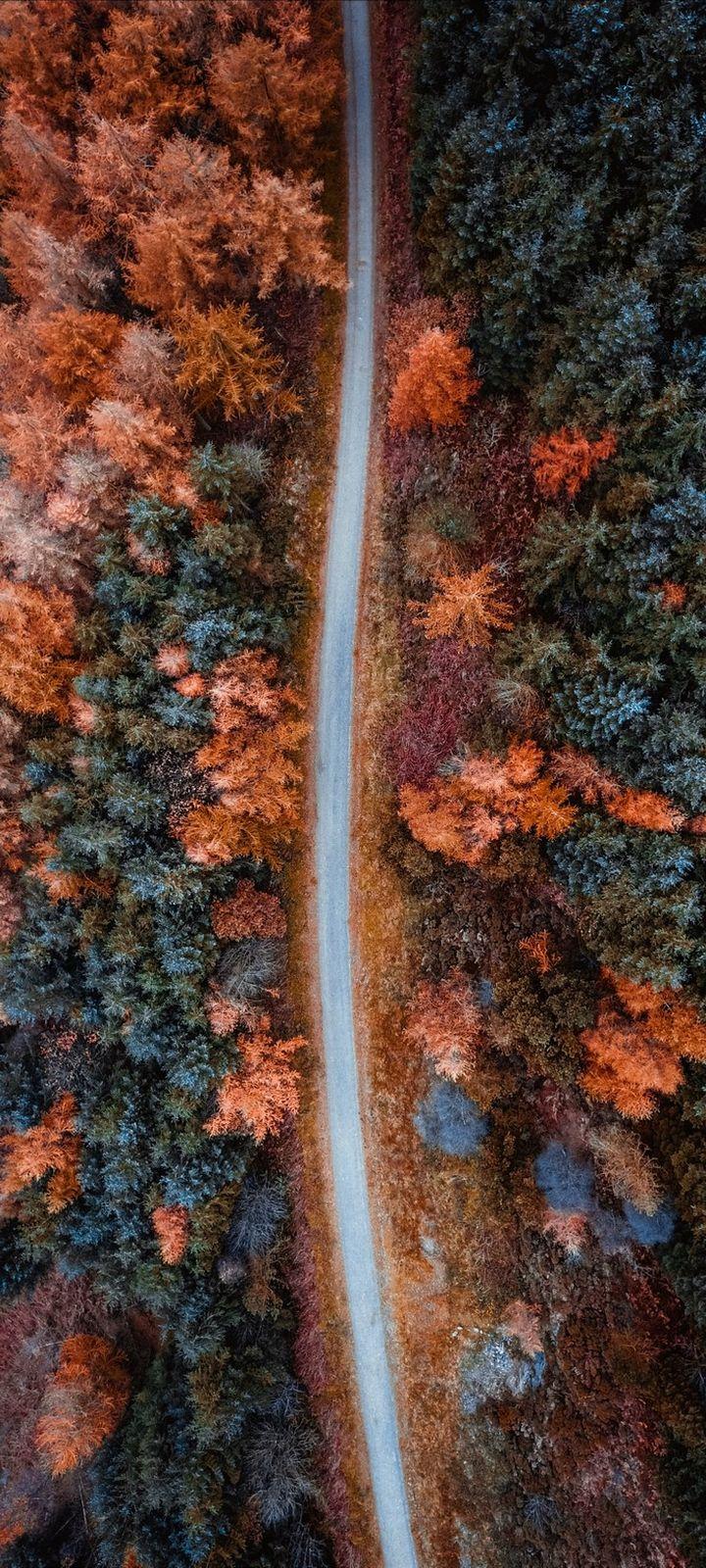 Autumn Road Aerial View Wallpaper - [720x1600]