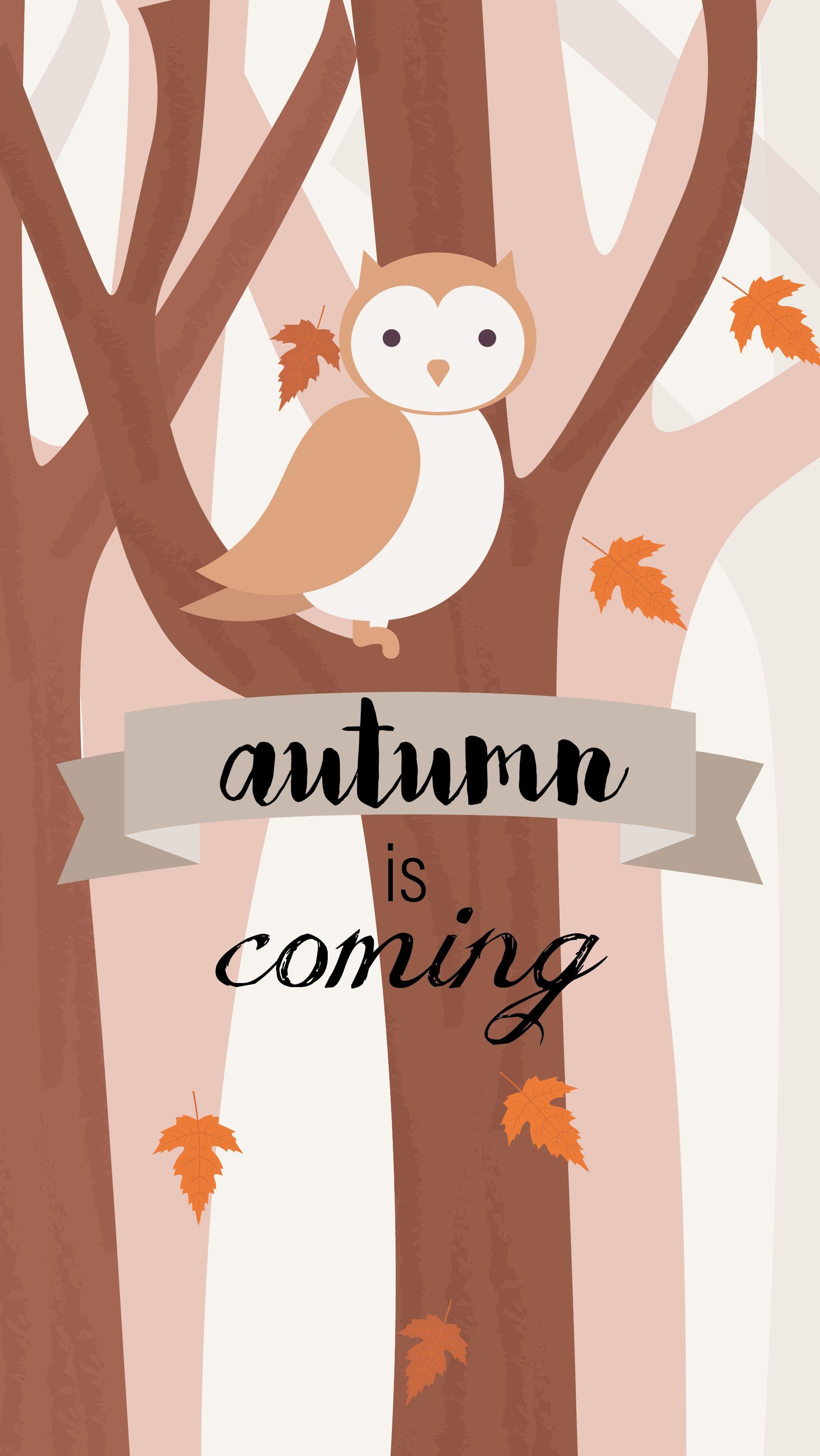 Autumn Is Coming Wallpapers Wallpaper Cave