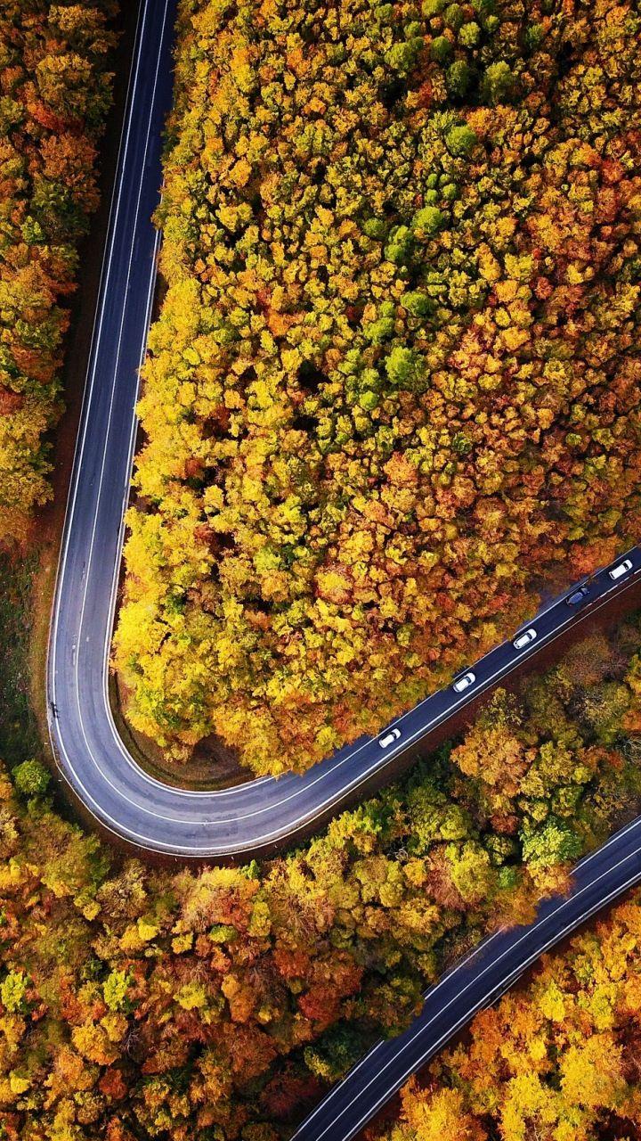 Highway, turn, forest, autumn, aerial view, 720x1280