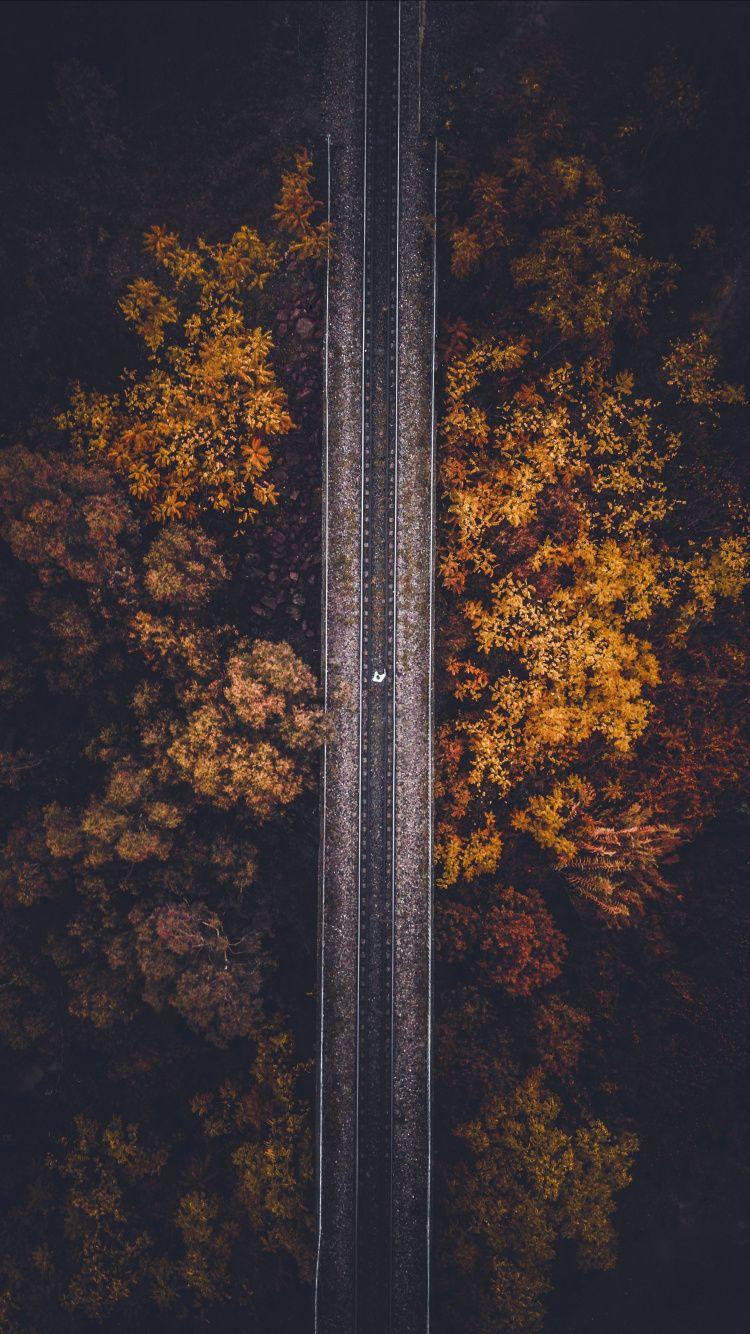 Railroad, autumn, trees, aerial view. Lifestyle & self care