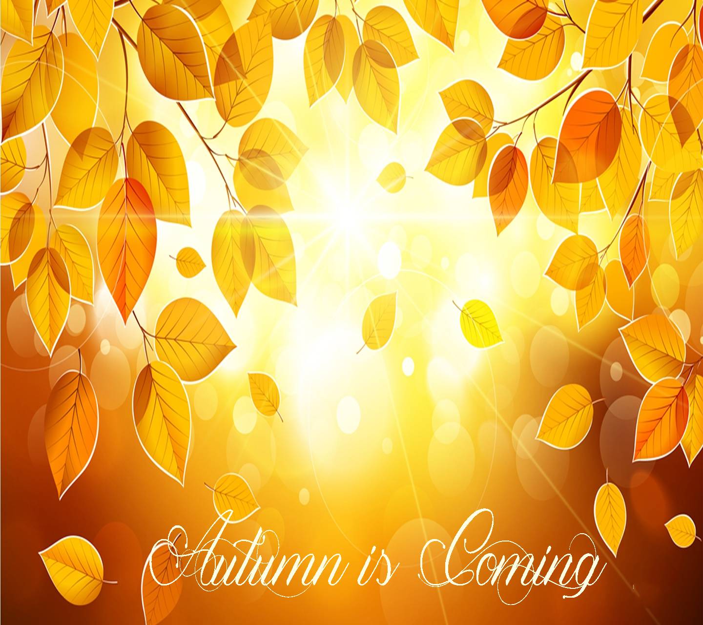 Autumn is Coming Wallpaper