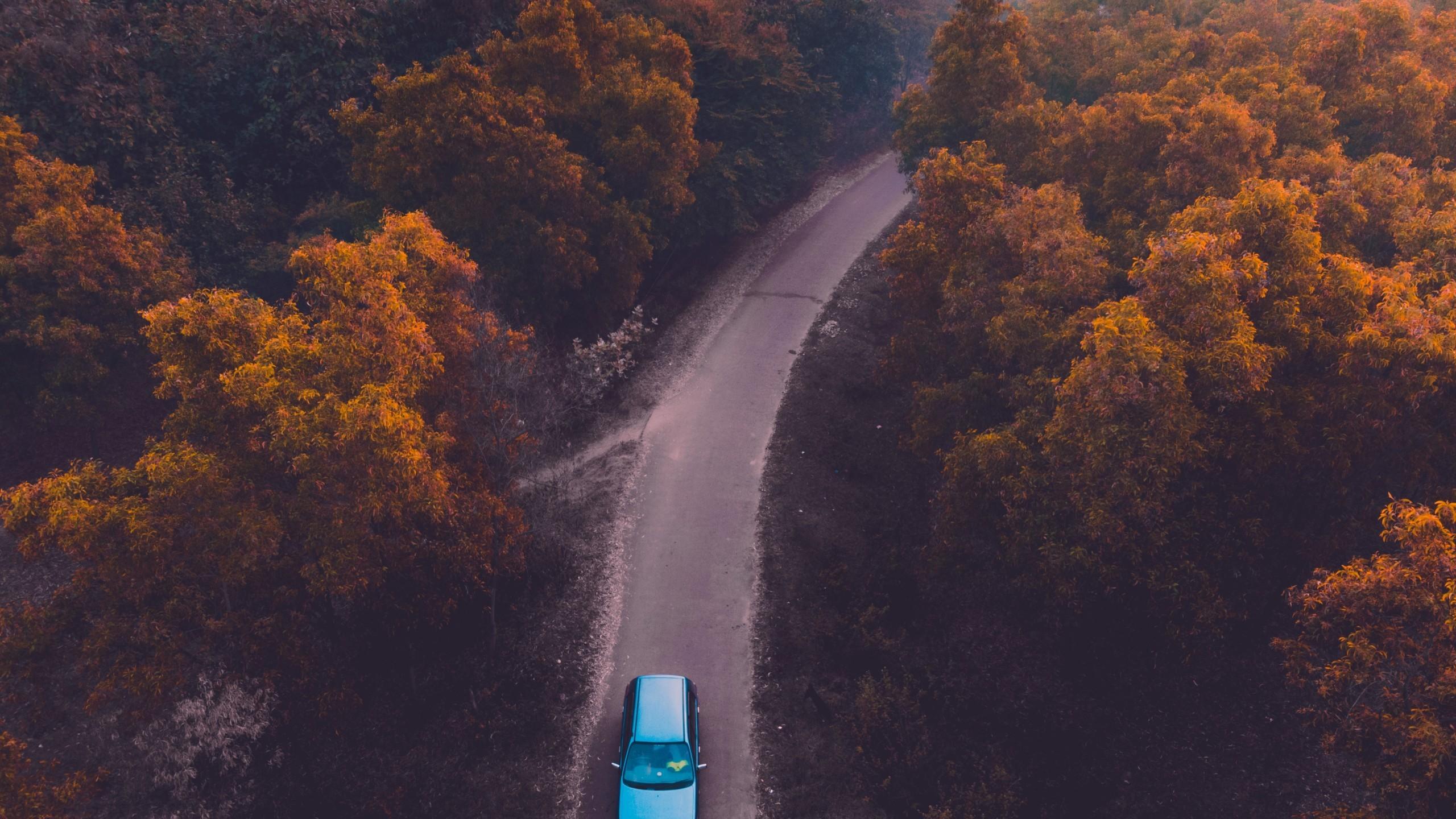 Download 2560x1440 Road, Dji Mavic Pro, Aerial View, Fog