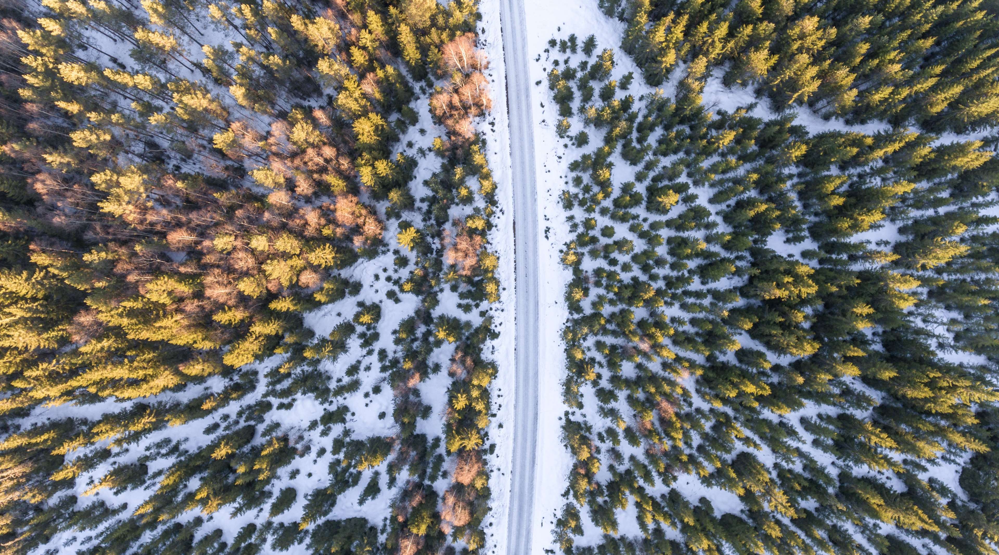 aerial, aeriel, autumn, cold, colors, drone, freeze
