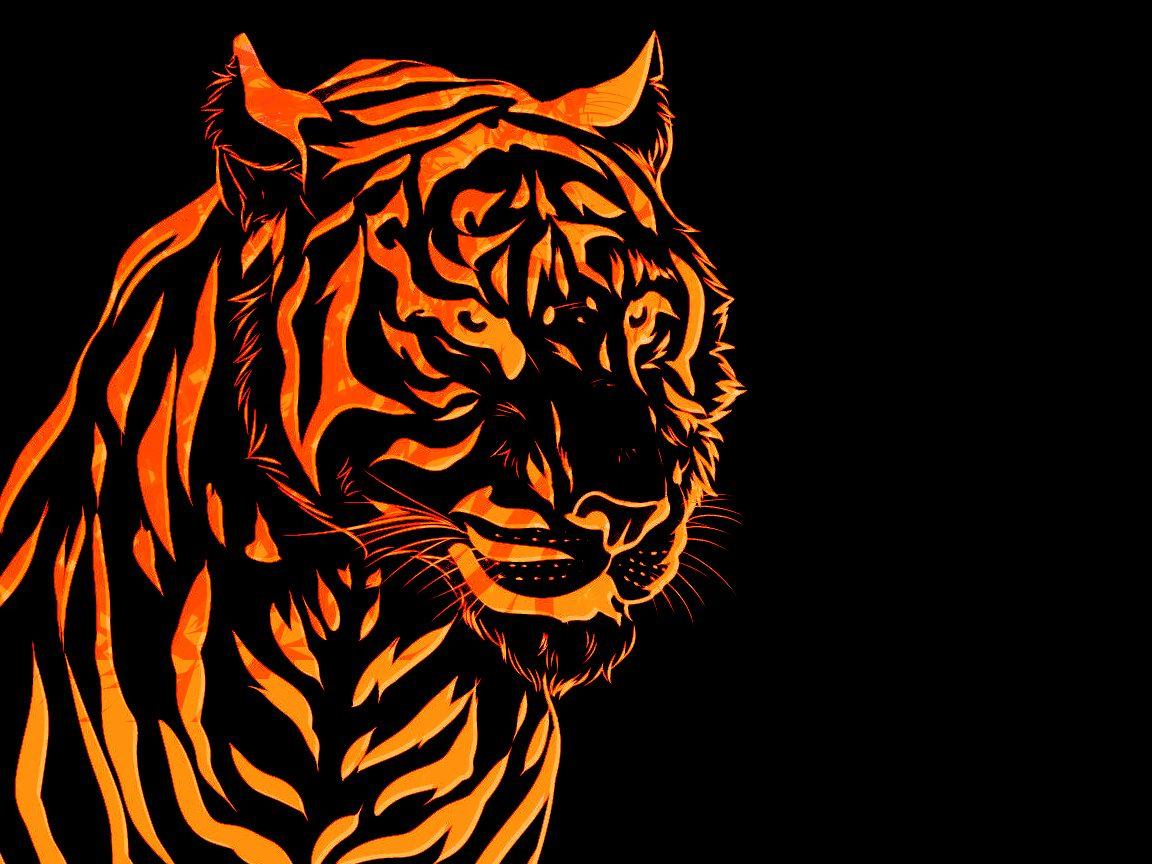 Colorful Tiger Wallpaper