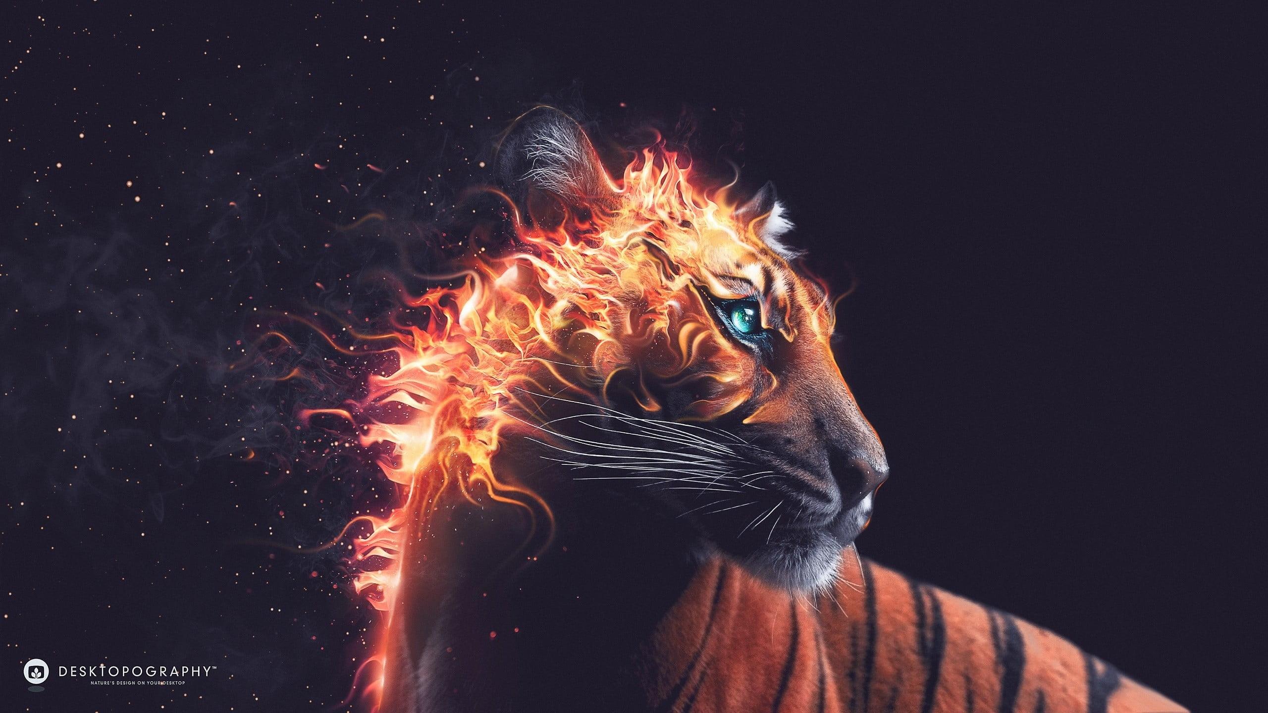 Orange tiger illustration, Desktopography, animals, tiger