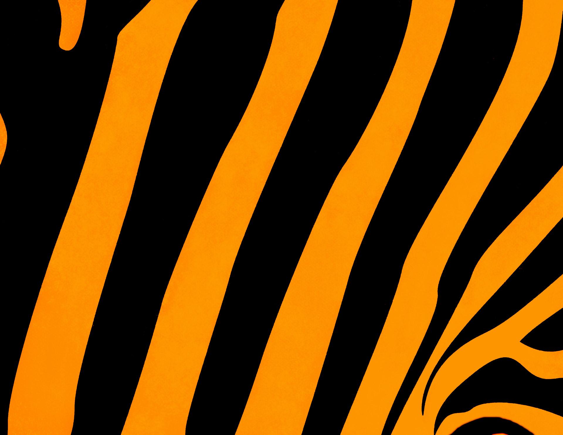 Orange Tigers Wallpapers - Wallpaper Cave