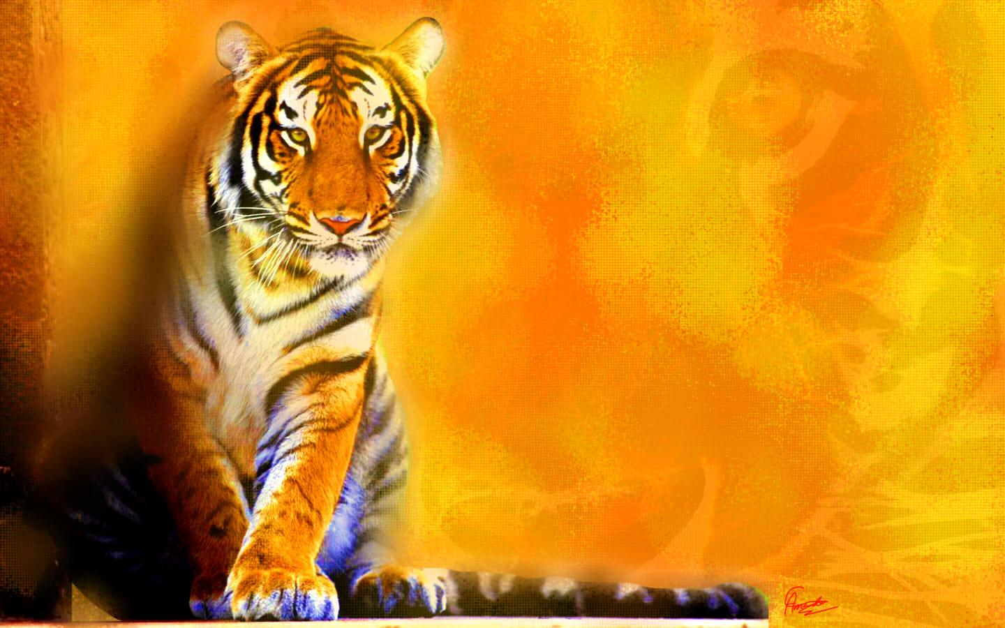 Tiger Background Picture