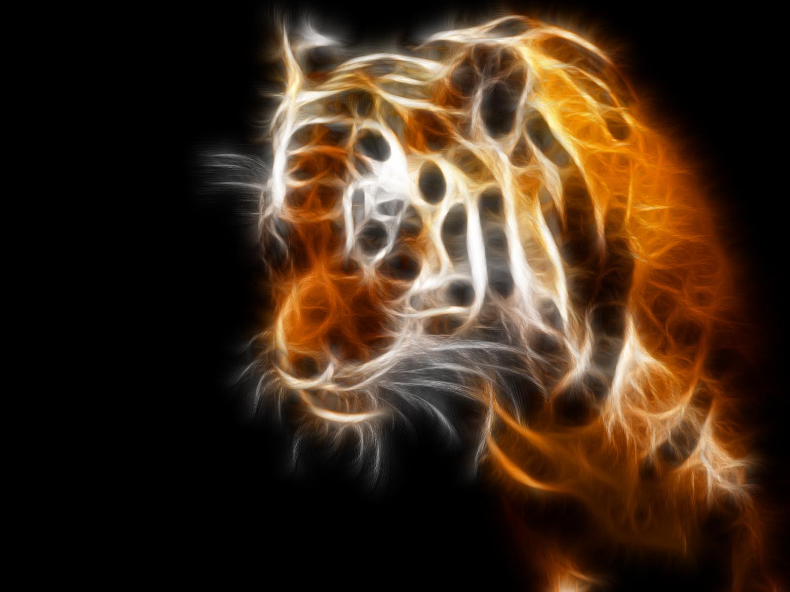 Tiger Wallpaper and Background Imagex1200