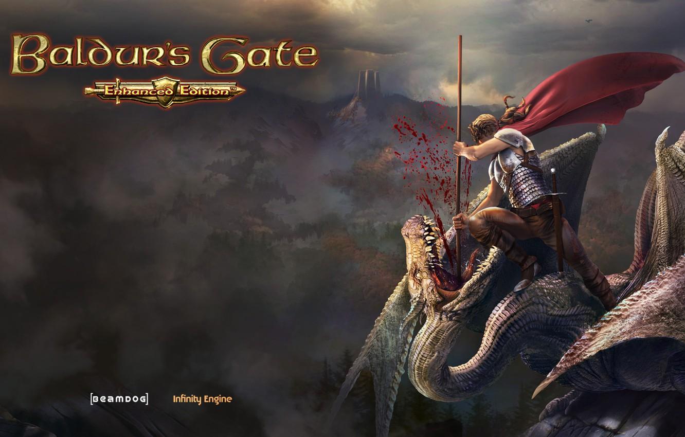 Wallpaper dragon, warrior, Baldur's Gate, Wyvern Slayer image for desktop, section игры