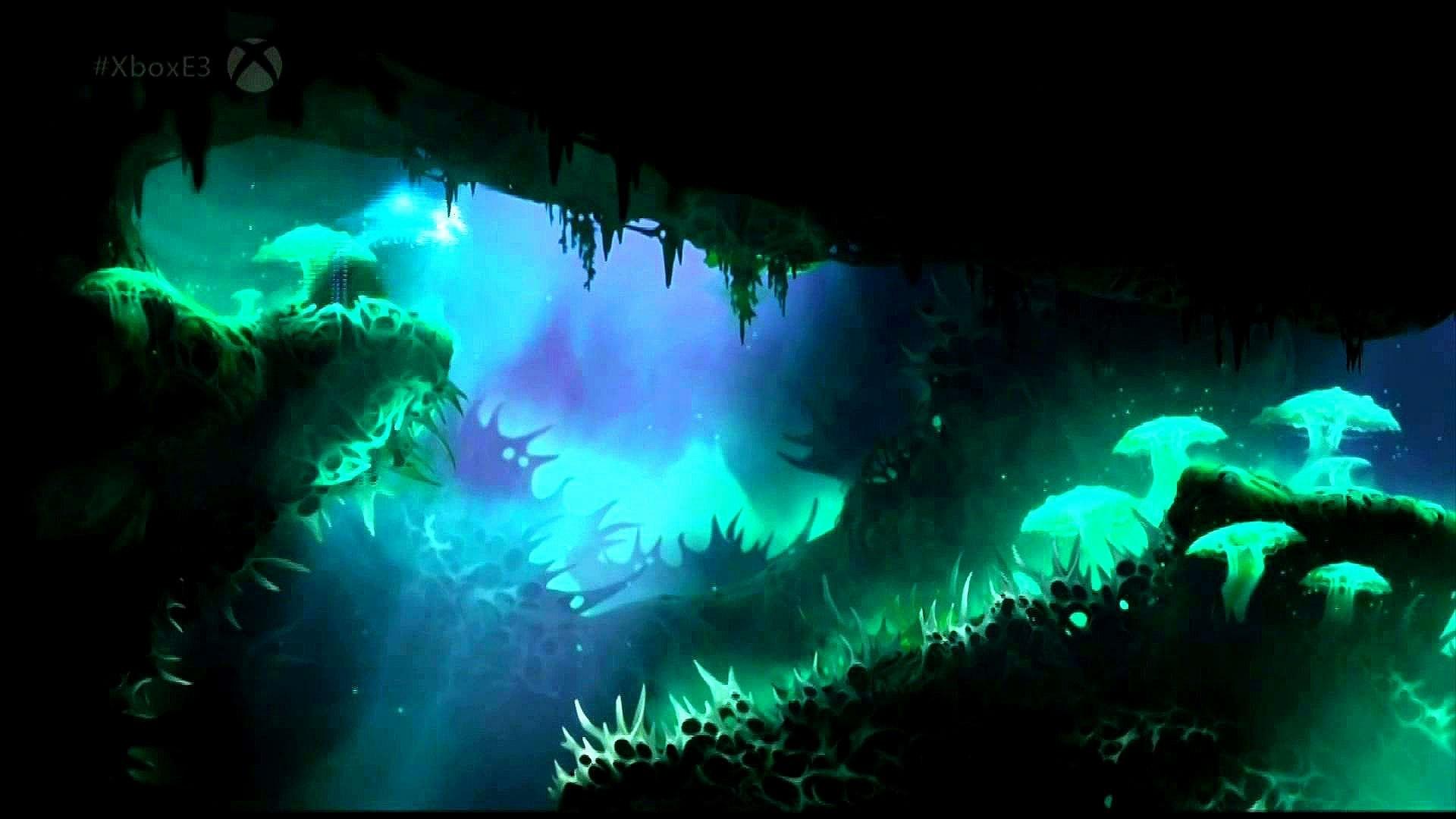 Ori and The Blind Forest Wallpaper background picture