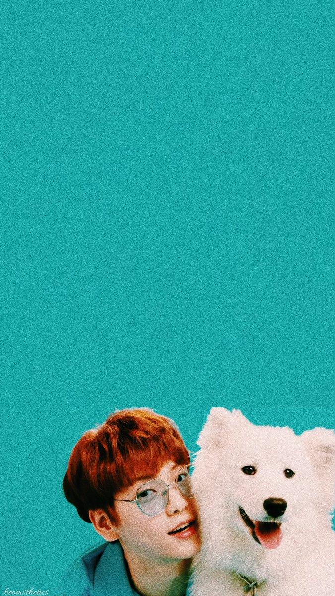 beomsthetics - Twitter Profile and Downloader