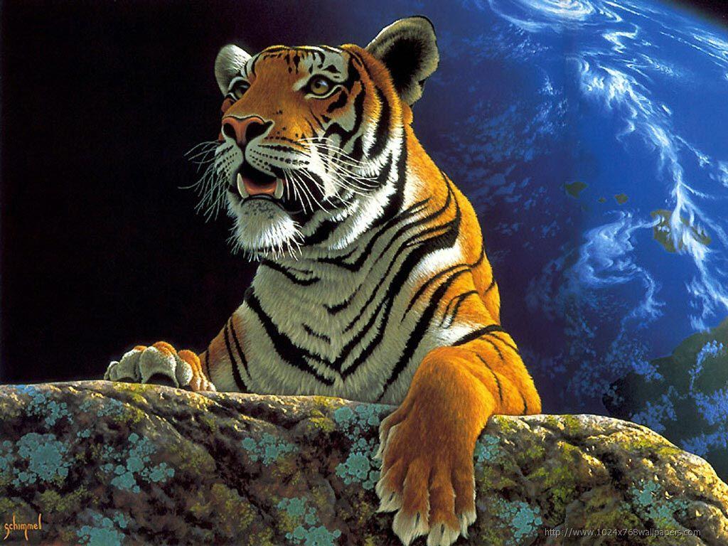 Tiger HD Wallpaper Free Download Tiger Picture Image