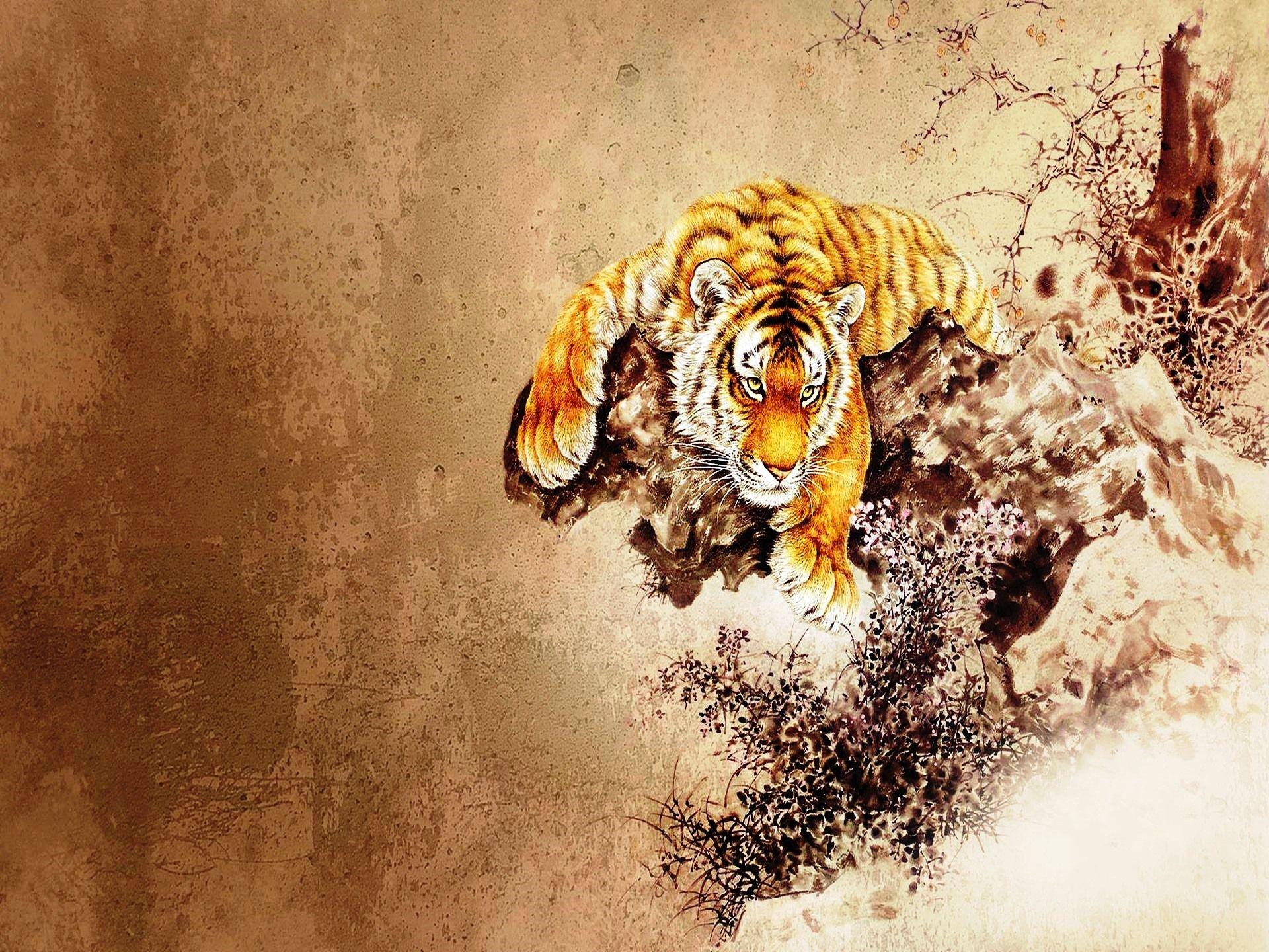 Chinese Tiger Wallpaper Free Chinese Tiger Background