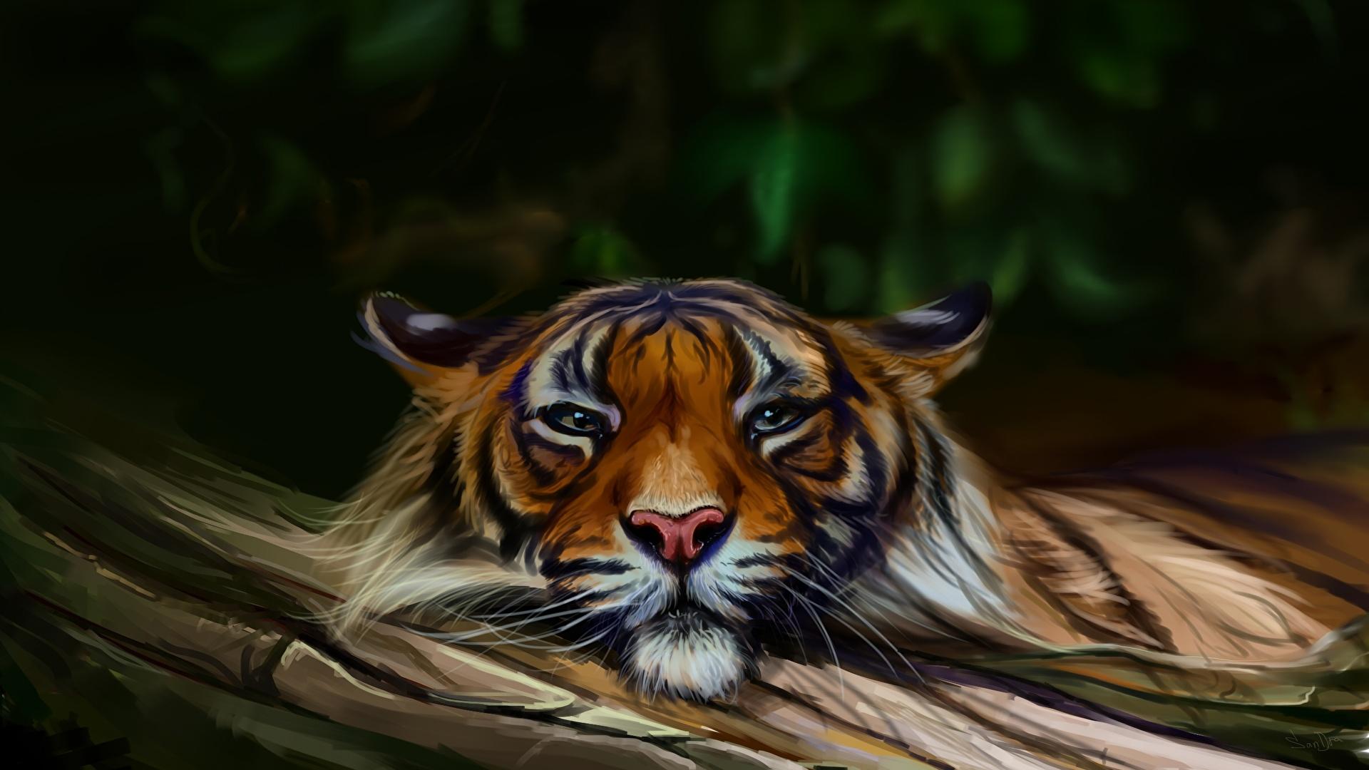 Wallpaper Tigers Big cats Animals Painting Art 1920x1080