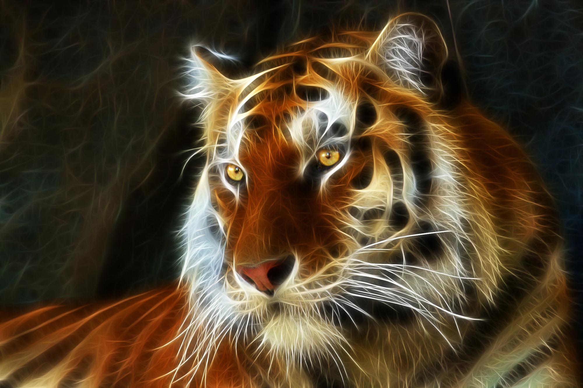 tiger, 3D, Art, Fractal Wallpaper HD / Desktop and Mobile