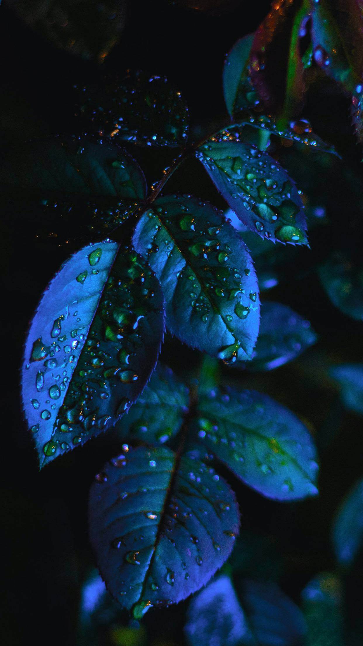 Beautiful iPhone X Wallpaper Featuring Leaves And Plants Ep