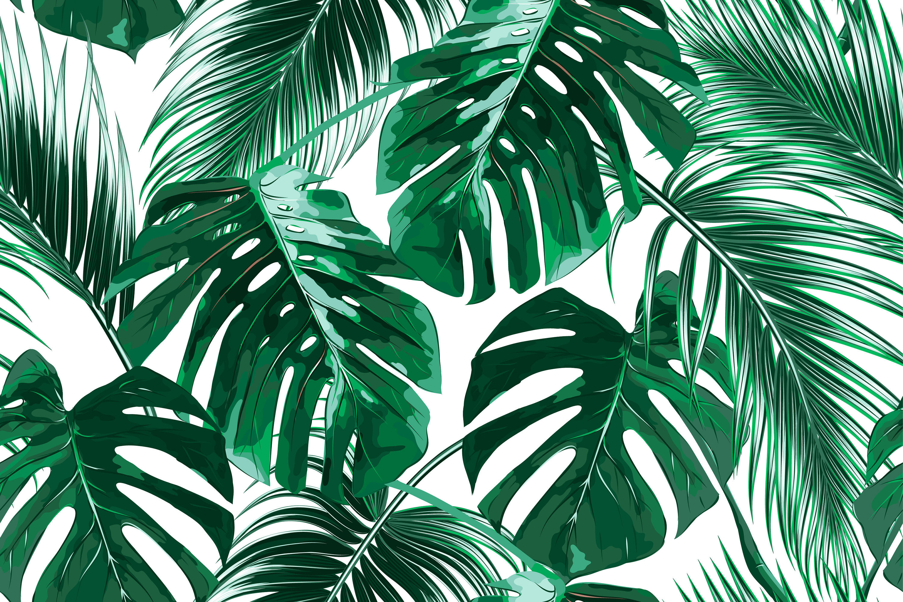 Tropical Leaf Wallpapers - Wallpaper Cave