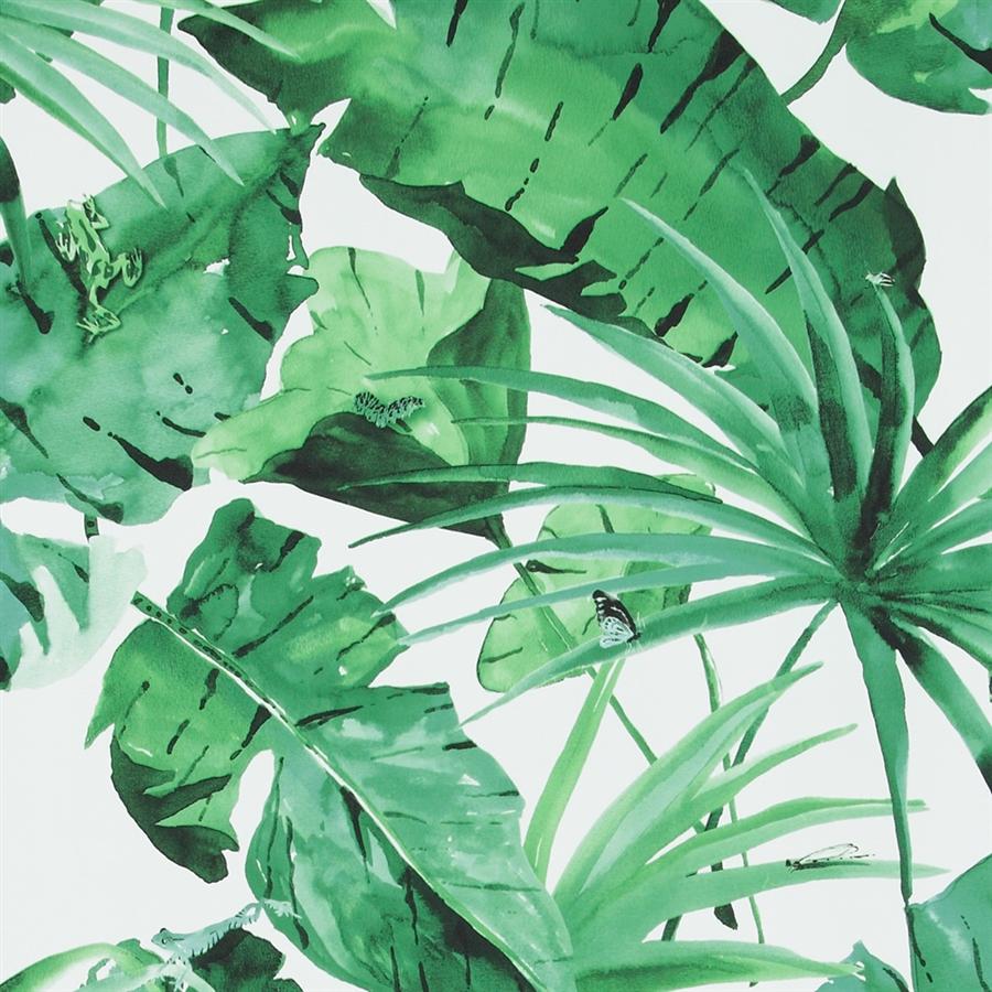 Tropical Natural Green And White Leaves Wallpaper