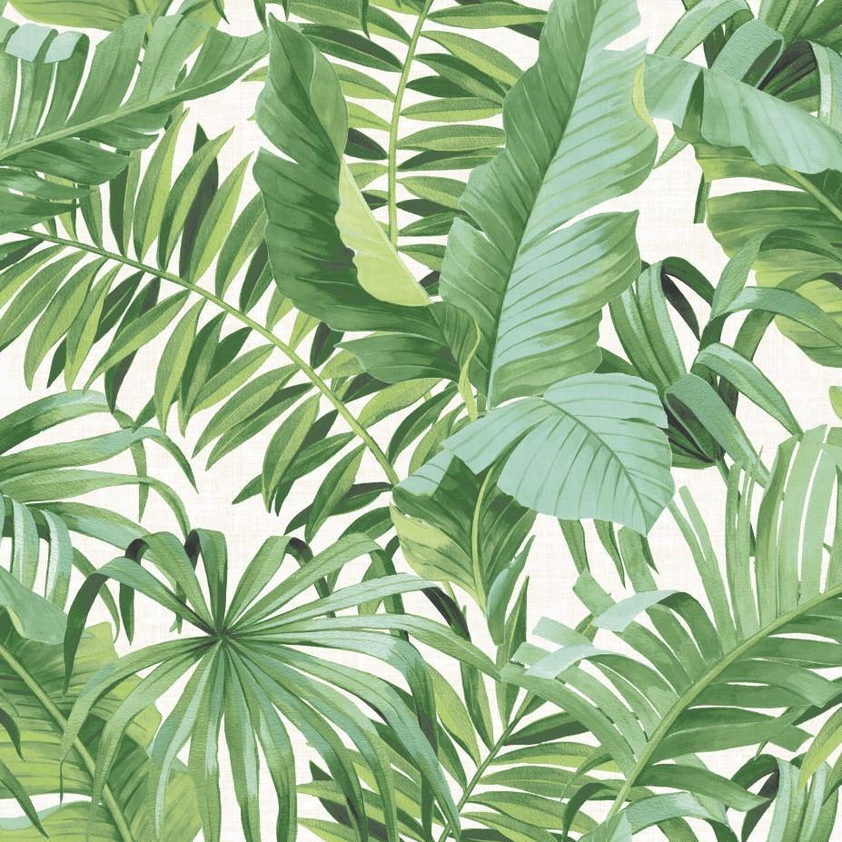 Solstice Baja Green Leaves Wallpaper