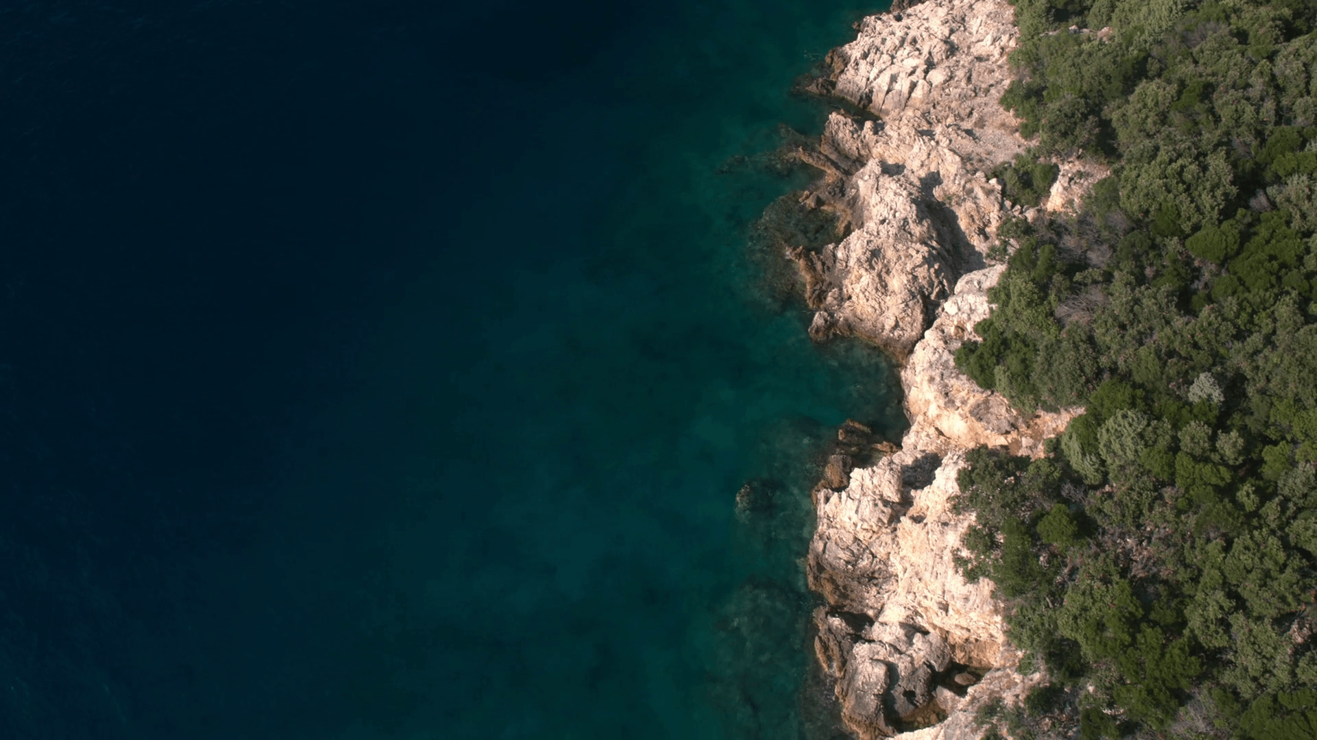 Aerial down view of flying backwards above coastline of rocky shore and lush bushes and trees Stock Video Footage