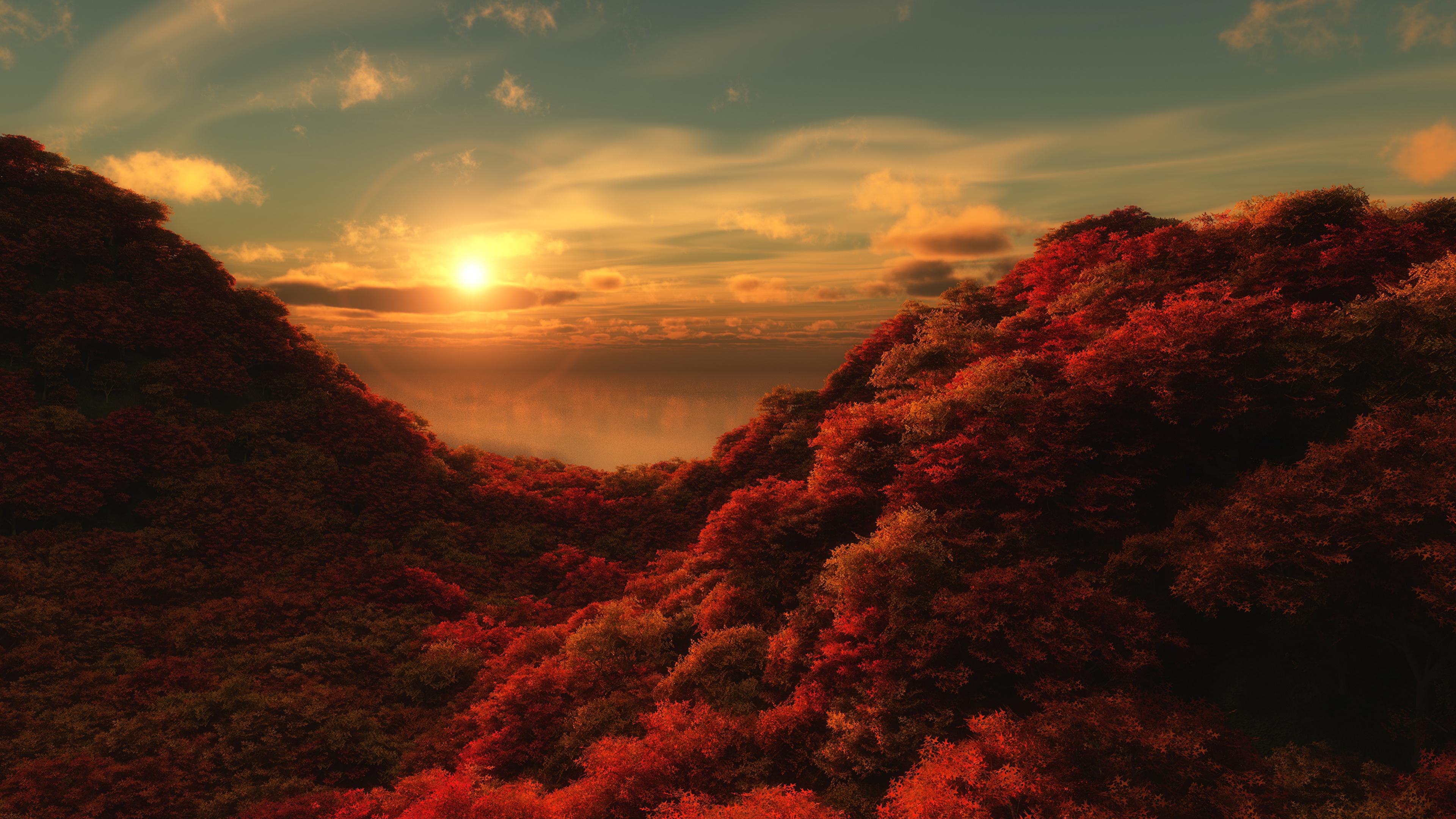 Photo Nature Autumn Forests Scenery Sunrises and sunsets