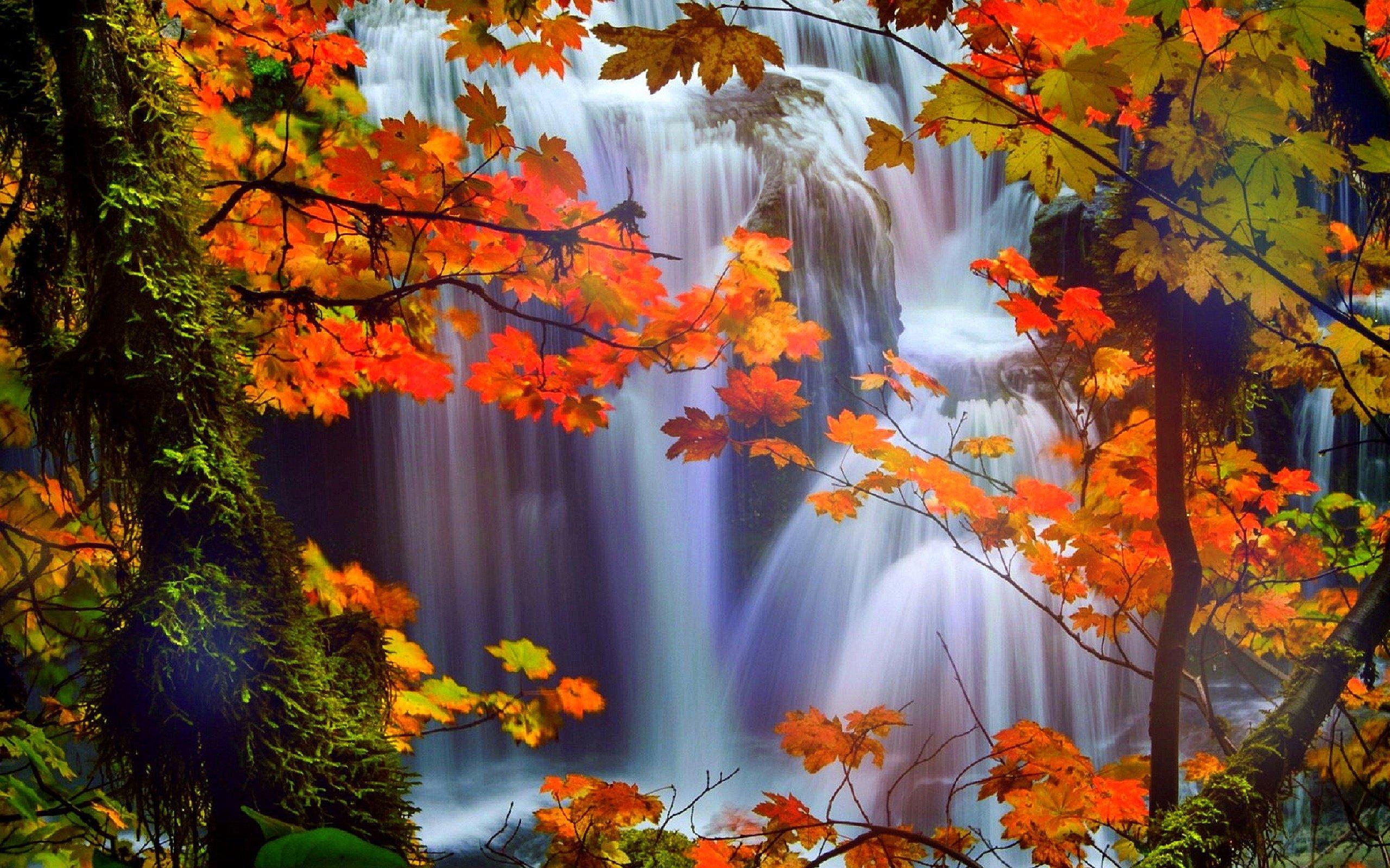 Waterfall at mountain river in autumn forest at sunset