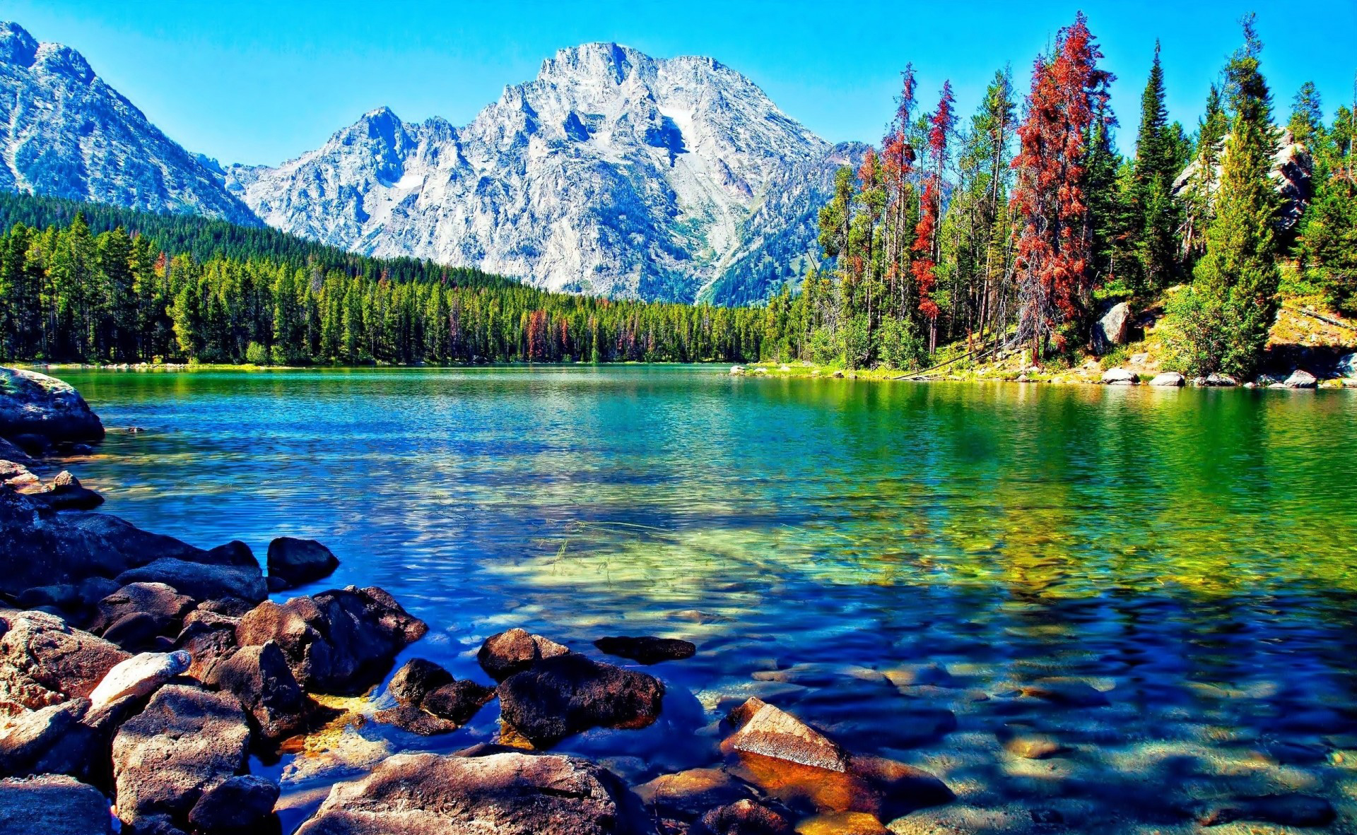 Beautiful lake mountain forest desktop wallpaper 1920x1200