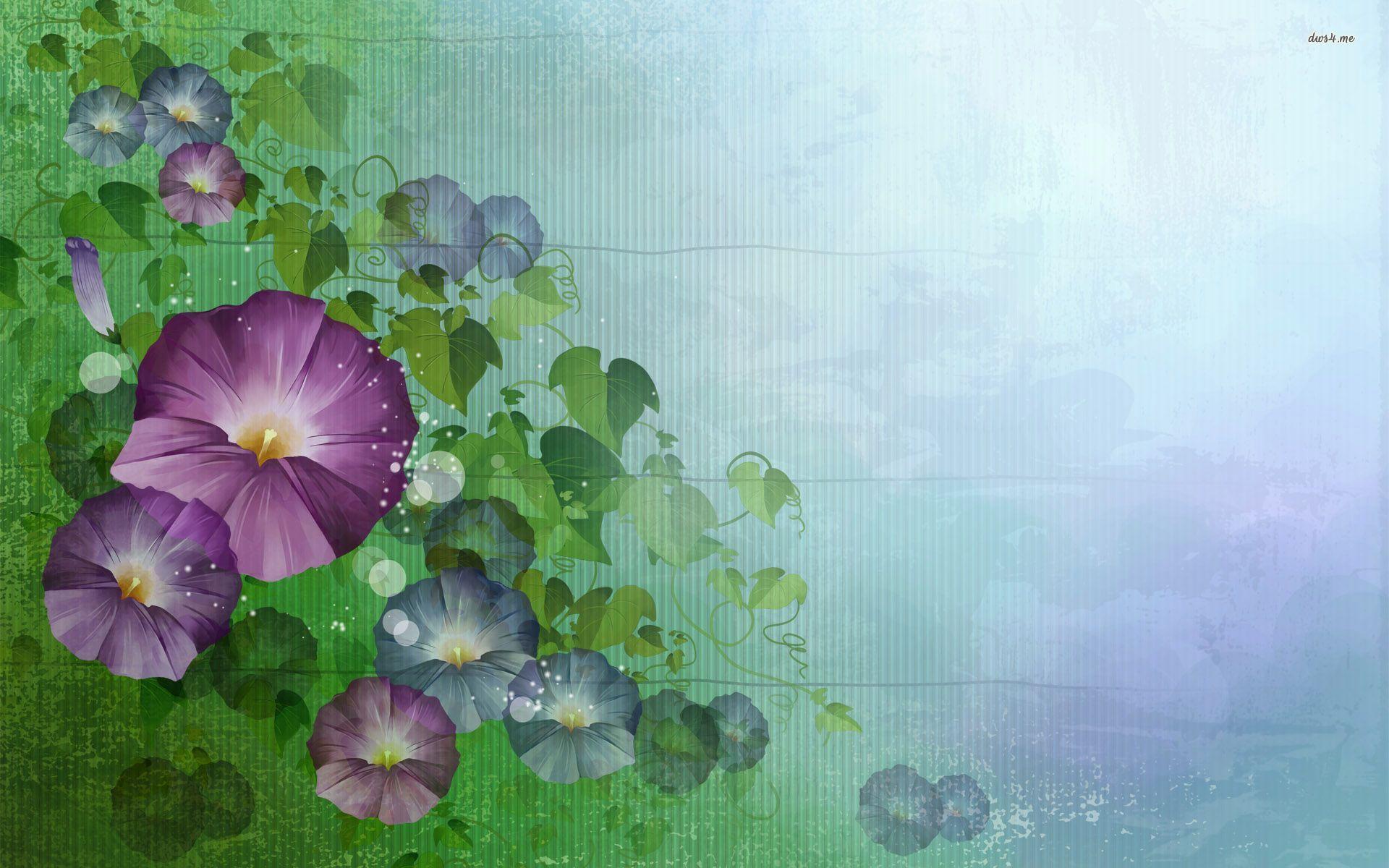 Morning Glory Wallpapers - Wallpaper Cave