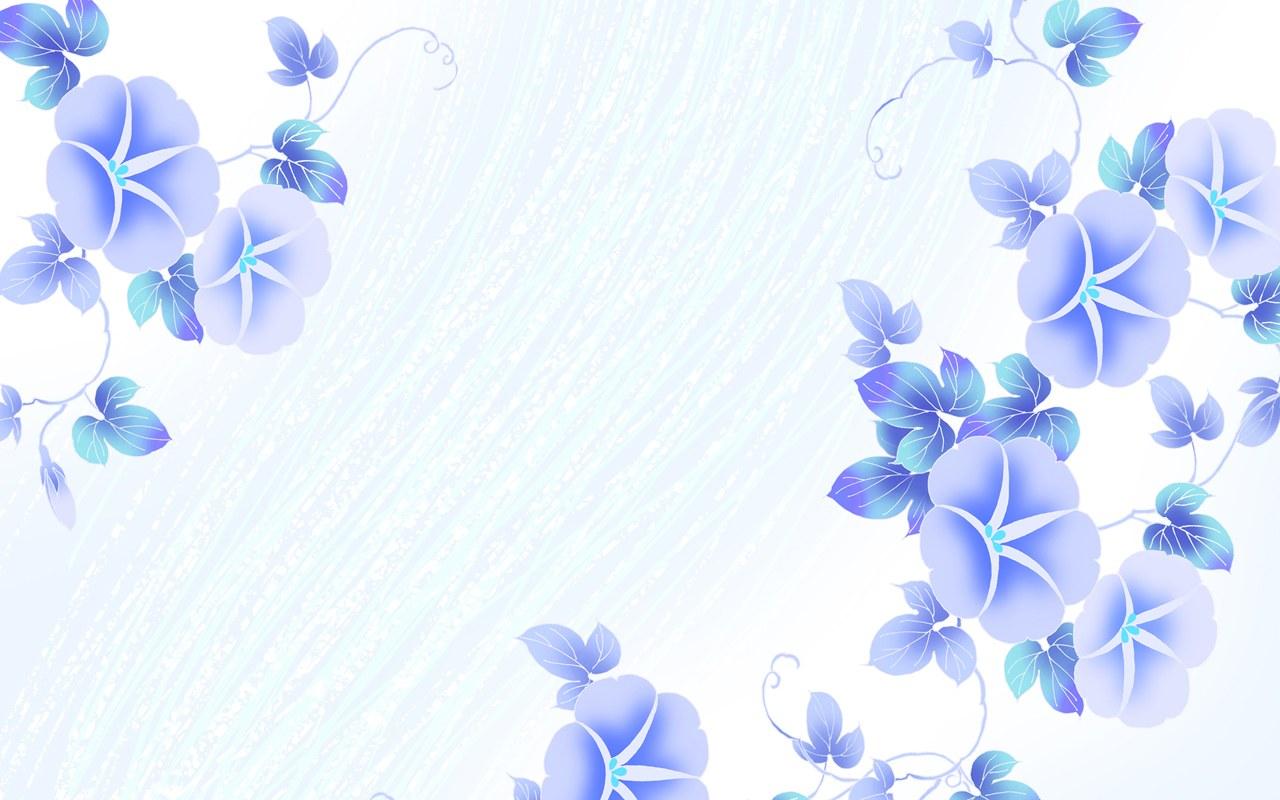 Morning Glory Wallpapers - Wallpaper Cave