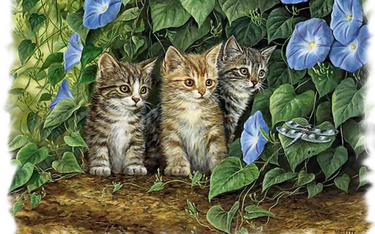 Cats Dragonfly Morning Glories wallpaper. Cats Dragonfly