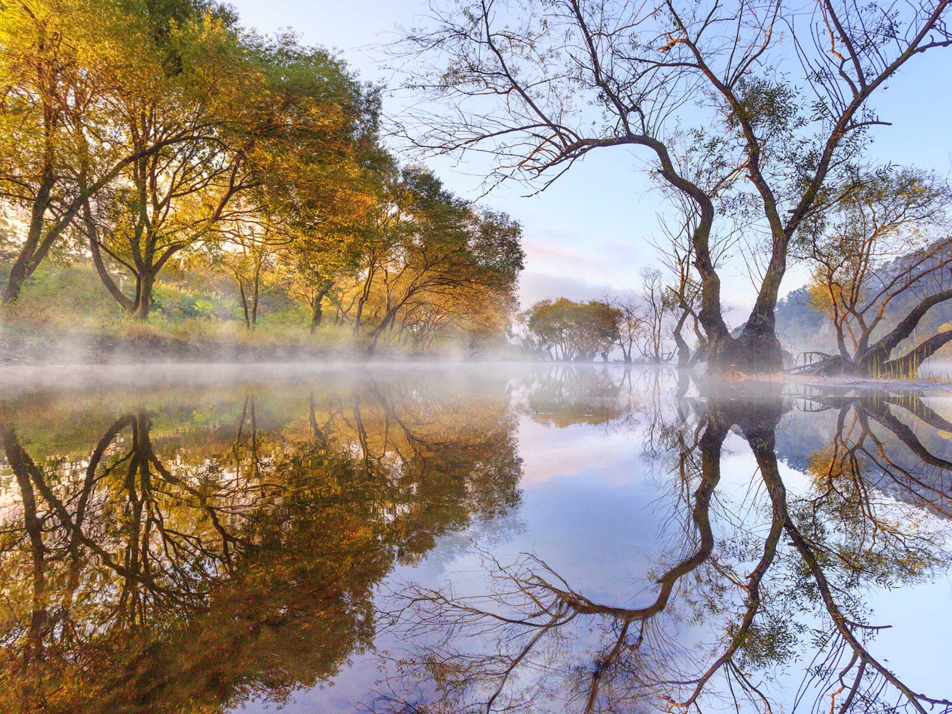 Autumn Morning Lake Evaporation Trees Willow Reflection